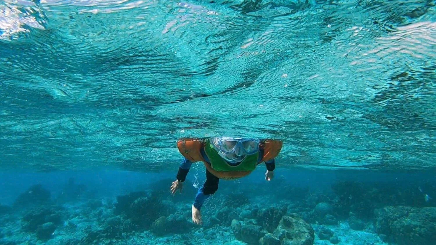 Bonaire Itinerary: How We Spent 7 Days in Bonaire With Kids