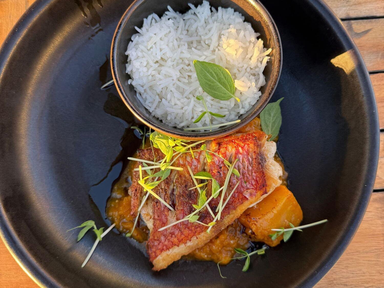 Gluten free fish dinner with rice from Sebastian's restaurant in Bonaire