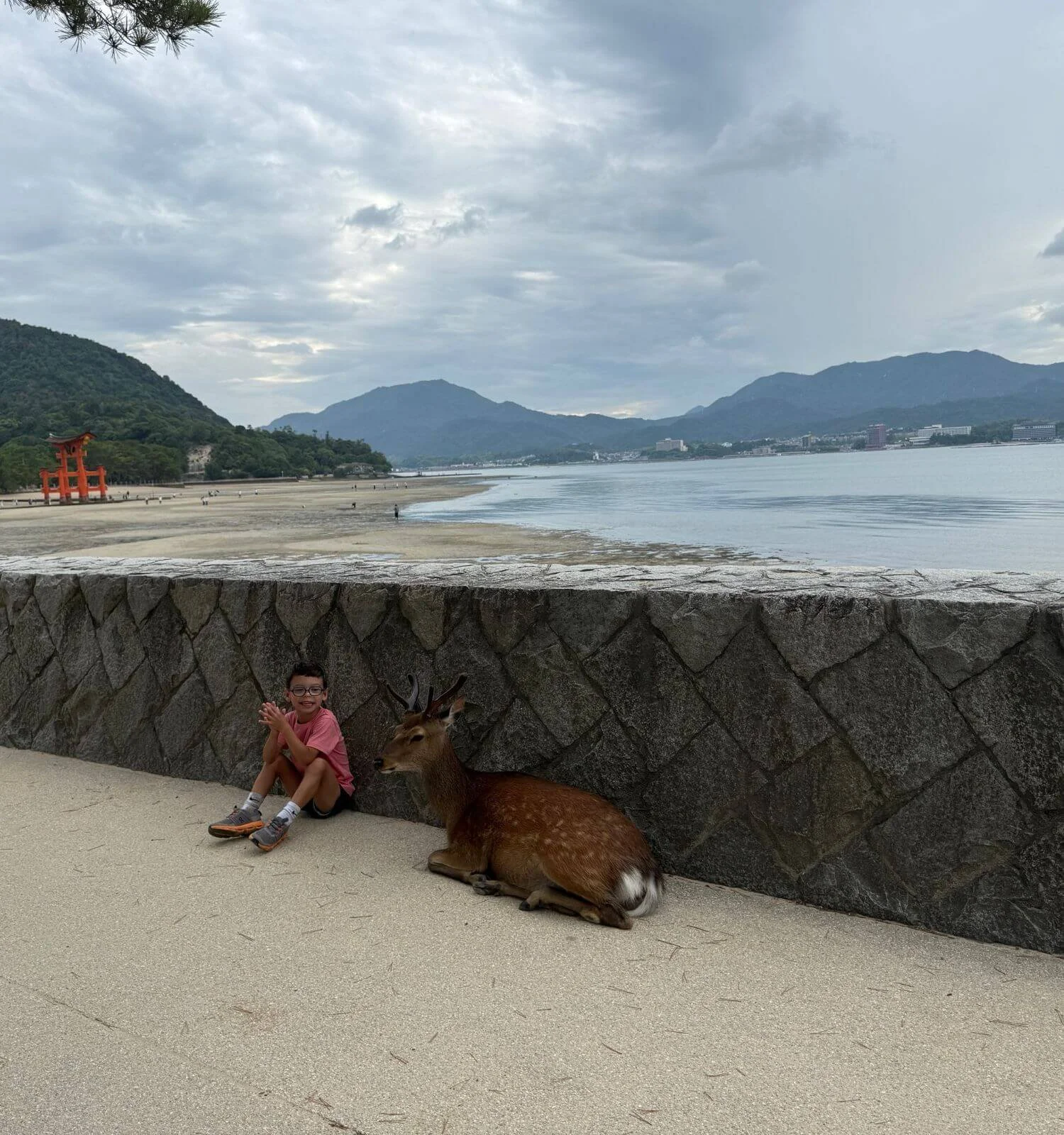 Boy sitting next to deer on Miyajima island with floating Itsukushima Shinto Shrine in background