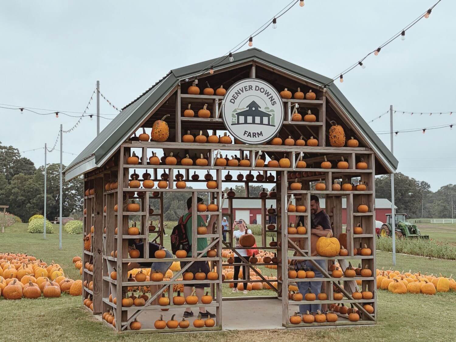 House of pumpkins at Denver Downs in Anderson, South Carolina