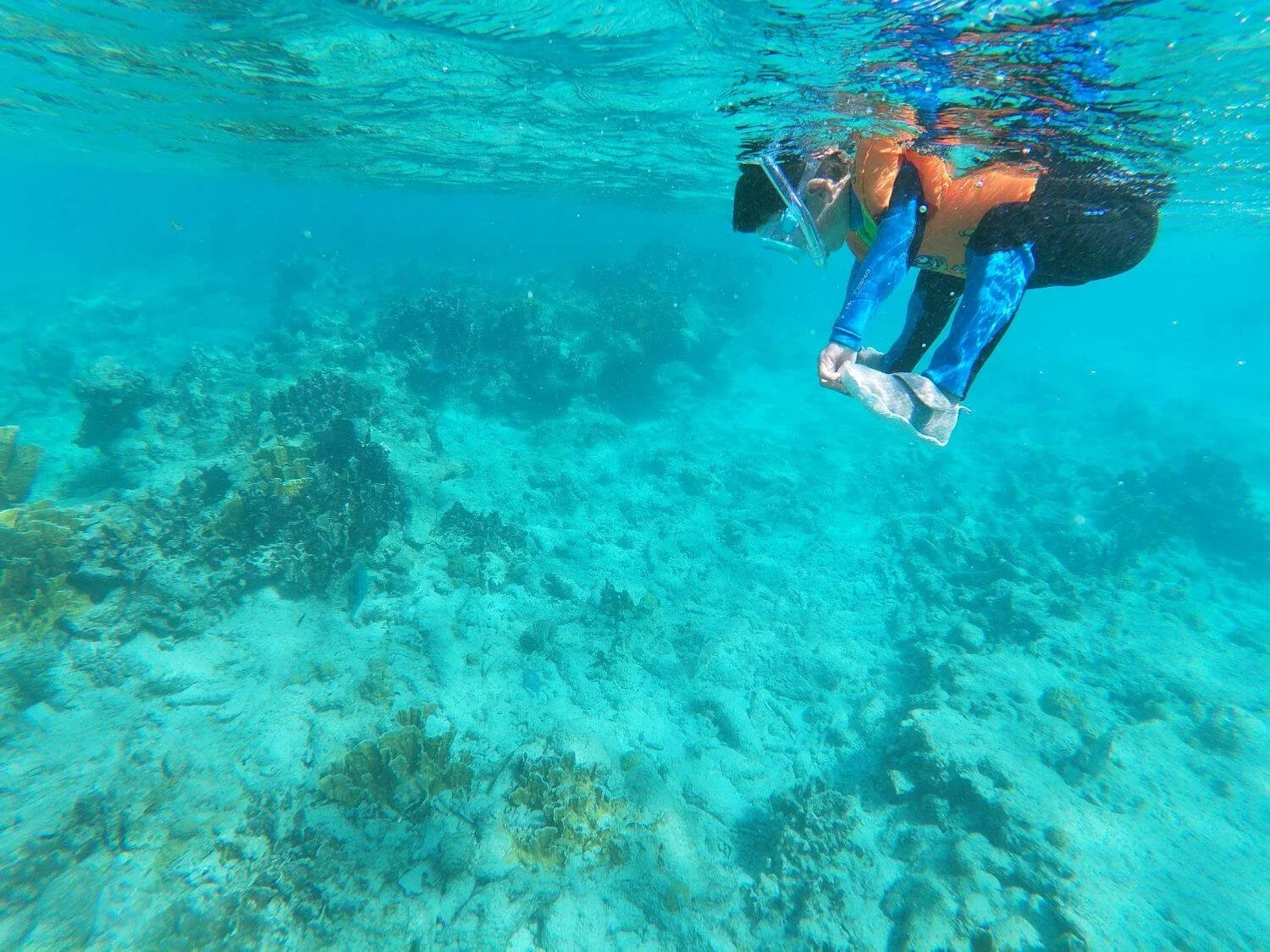 Boy snorkeling in Bonaire
