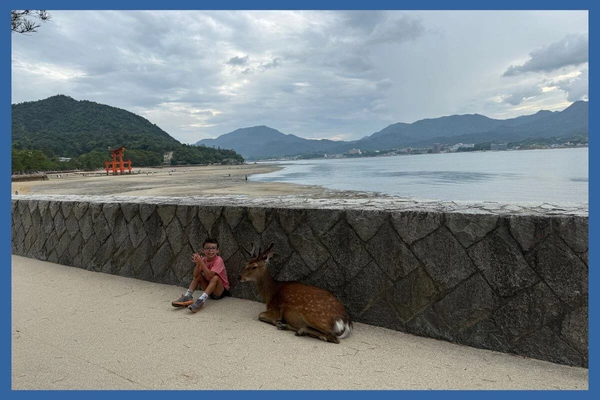 Young boy sitting beside a wild deer on the seawall in Miyajima, Japan