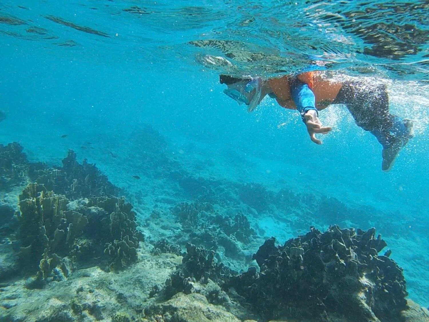 Boy snorkeling in Washington-Slagbaai National Park Bonaire.