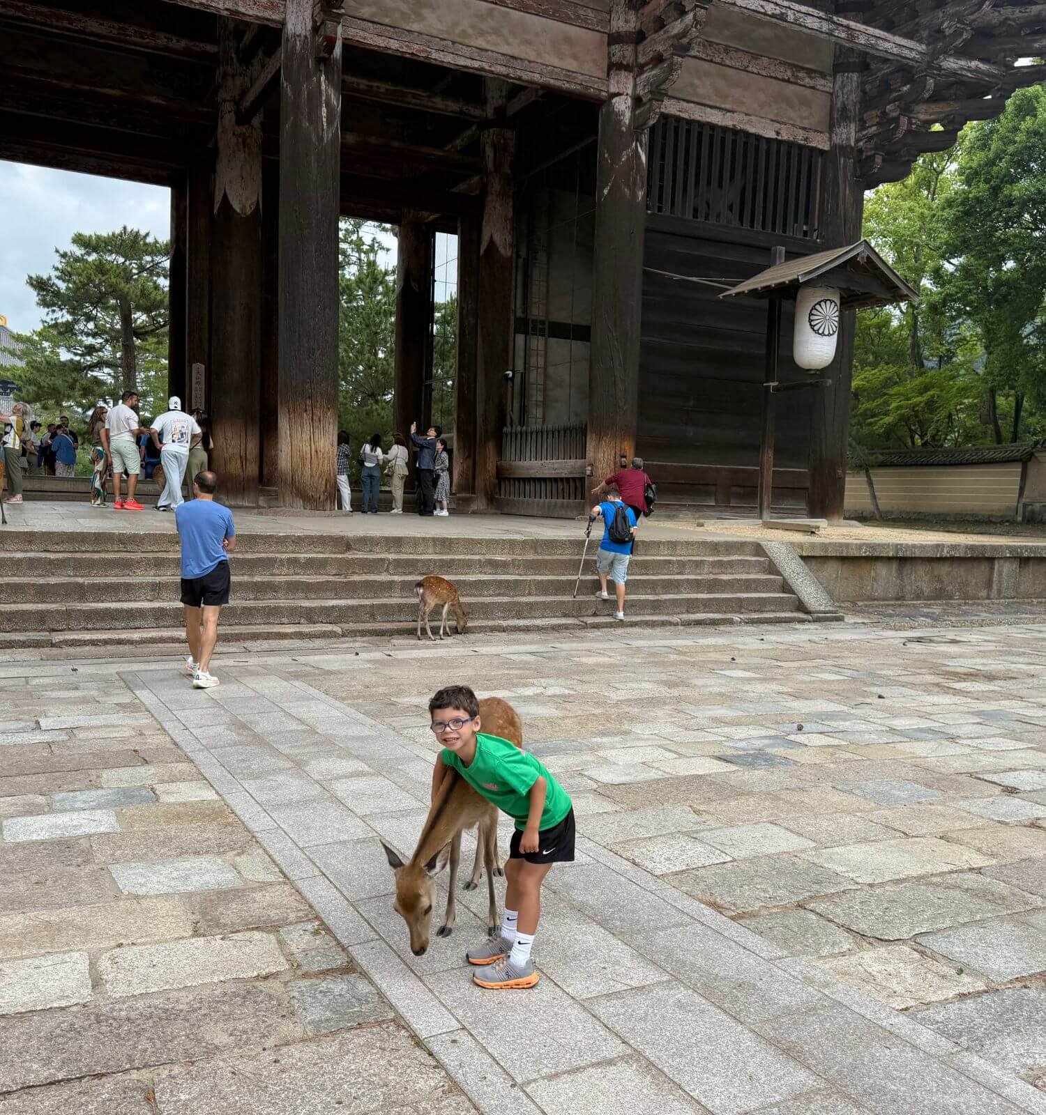 Boy giving hugs to a deer in Nara Japan
