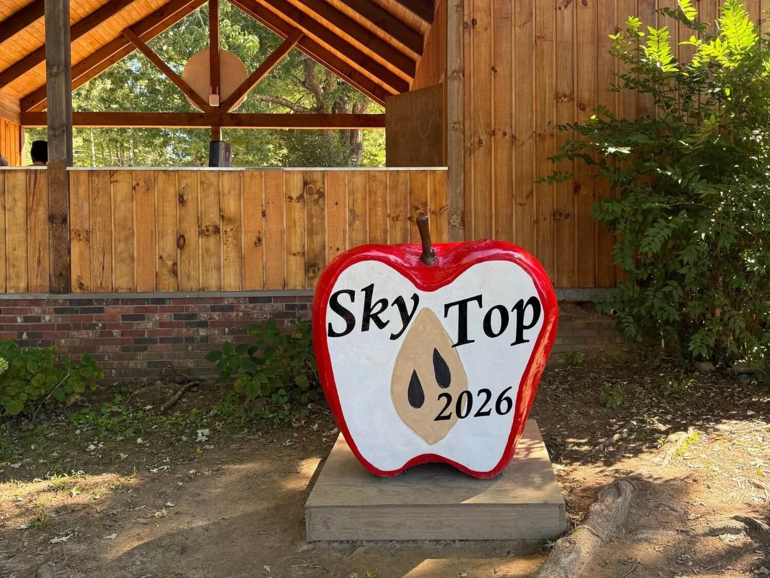 Painted Sky Top Orchard 2026 apple.