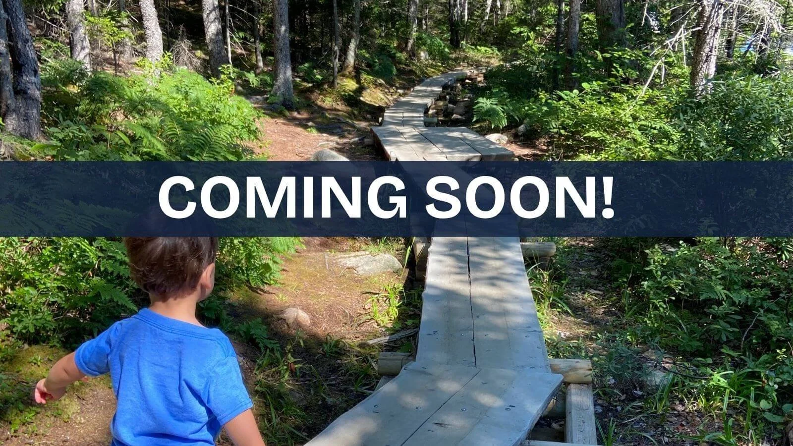 Child on hike in Acadia National Park.