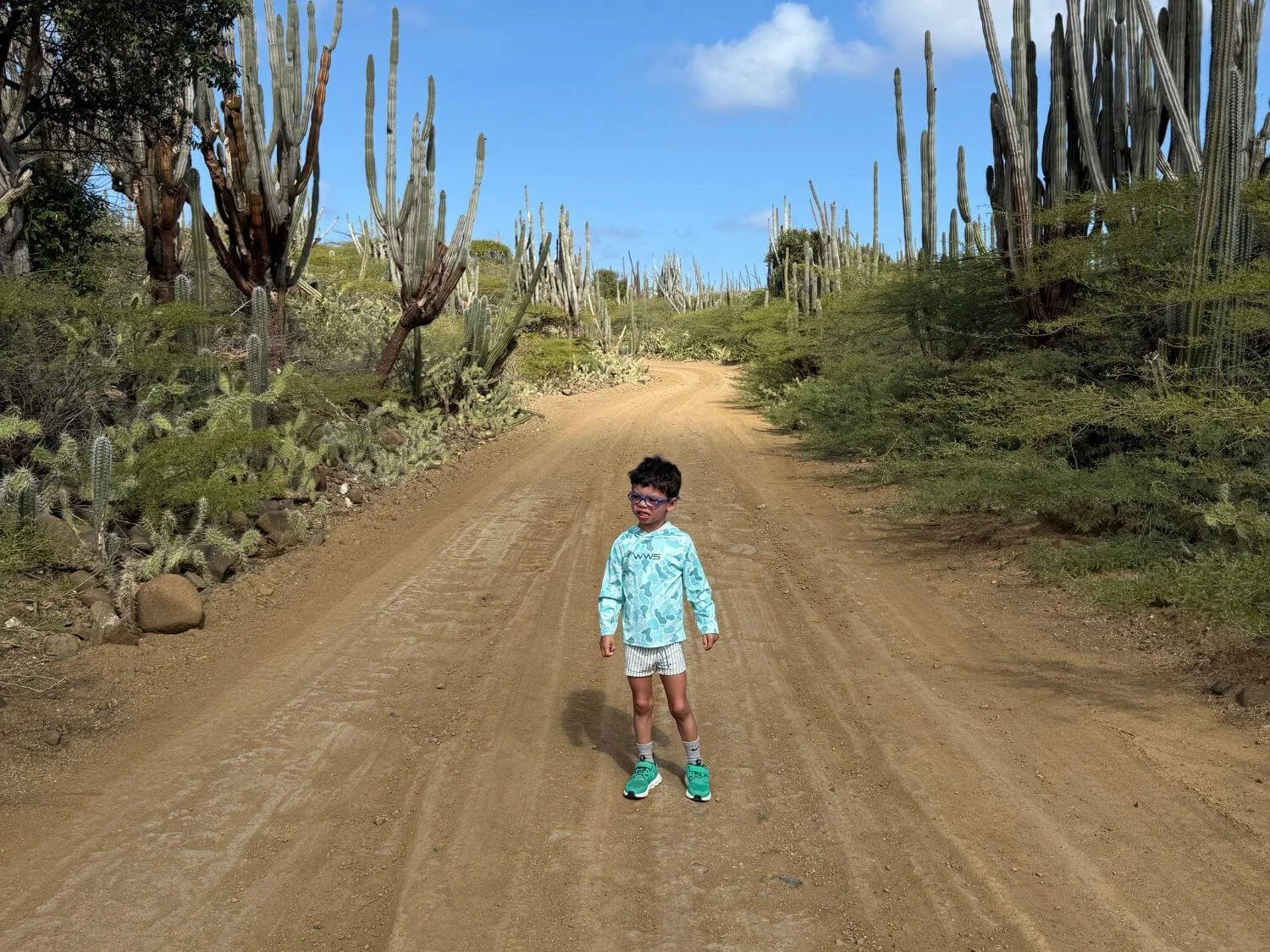 Boy surrounded by cacti in Washington Slagbaai National Park in Bonaire.
