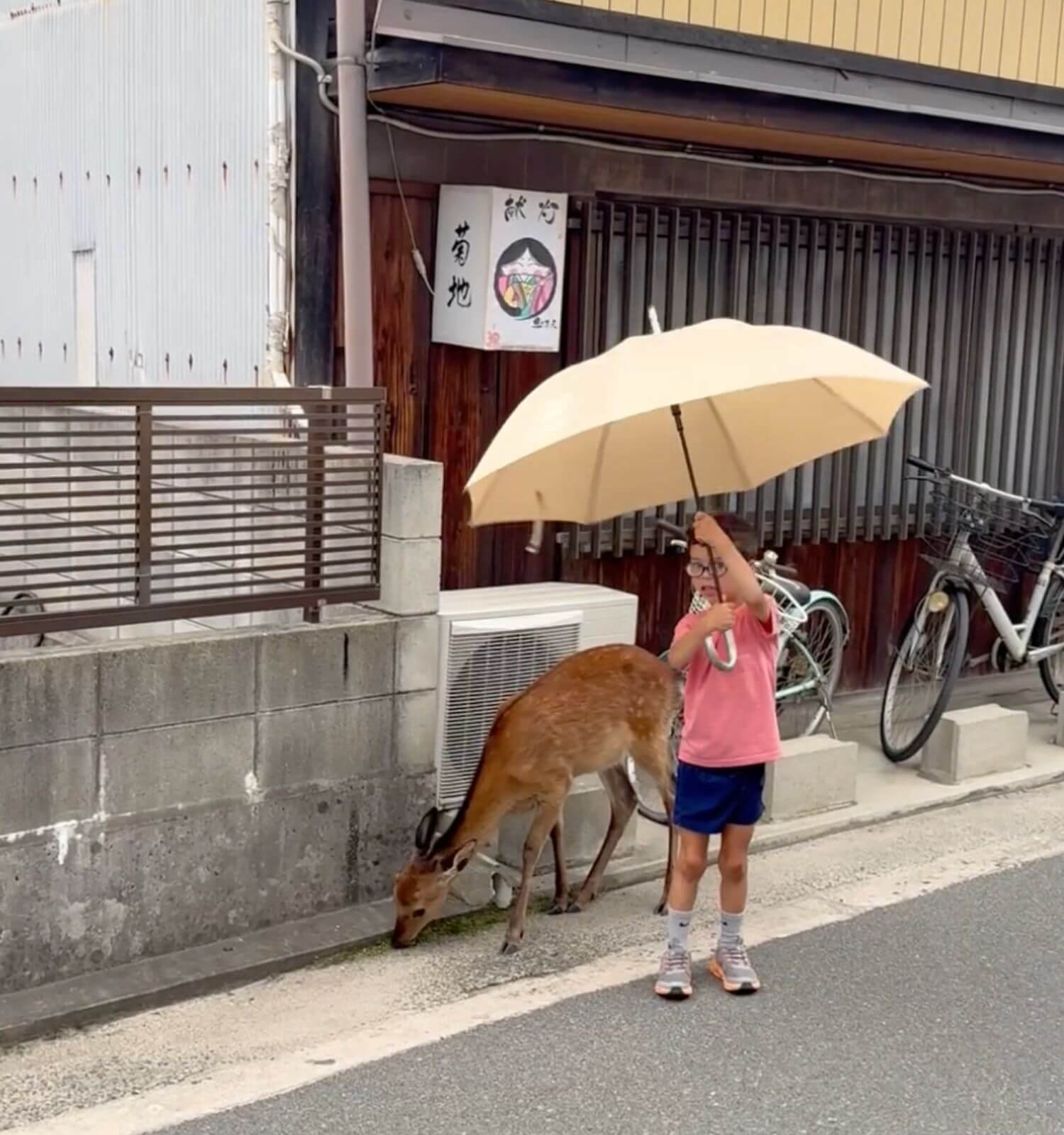 A young boy sharing his umbrella with a deer on a quiet, empty street in Miyajima, Japan, during a walk to dinner.
