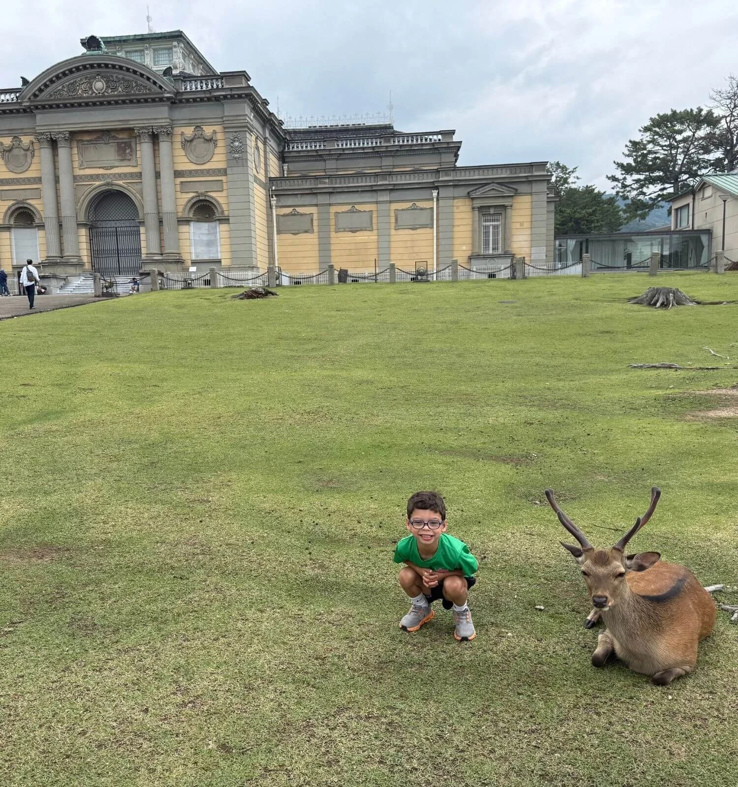 Boy squatting next to deer in Nara Park Japan.