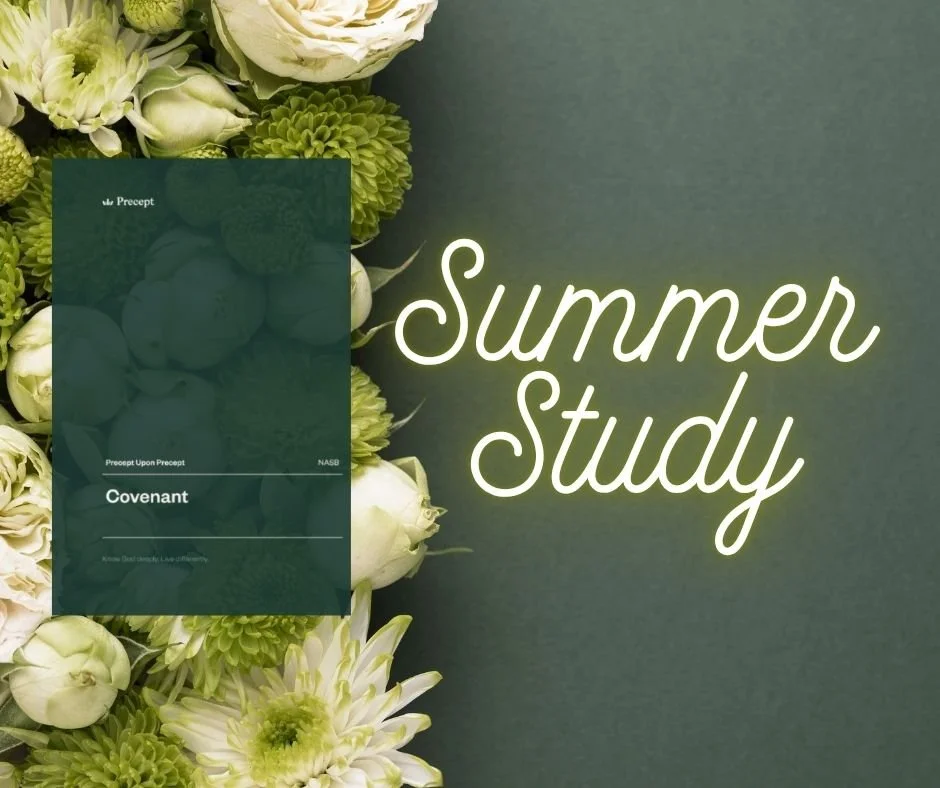 Women's Summer Bible Study