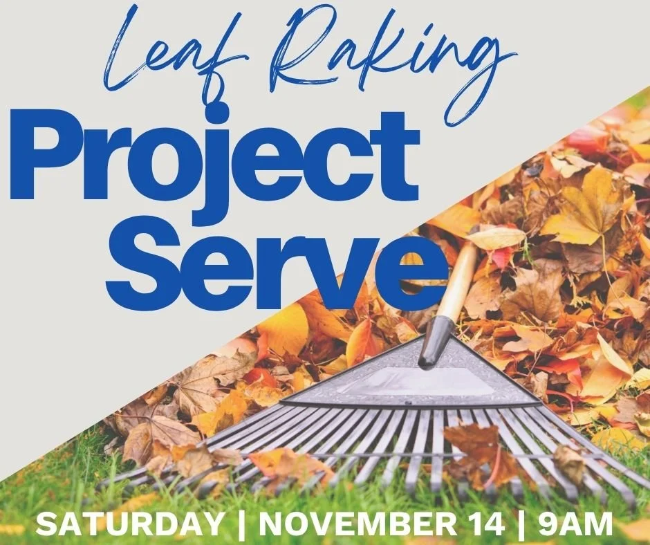 Project Serve | Leaf Raking