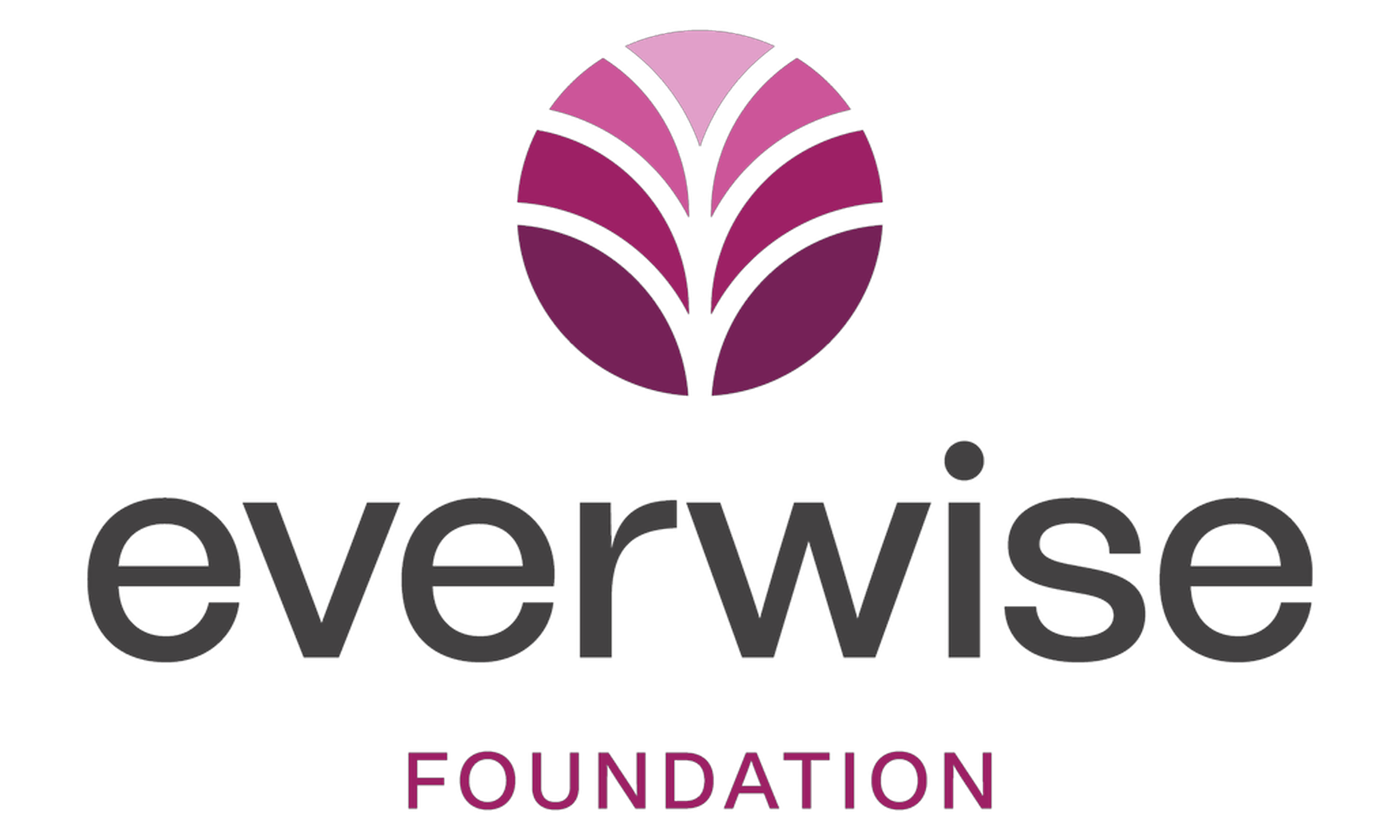 Everwise Foundation Grant Received