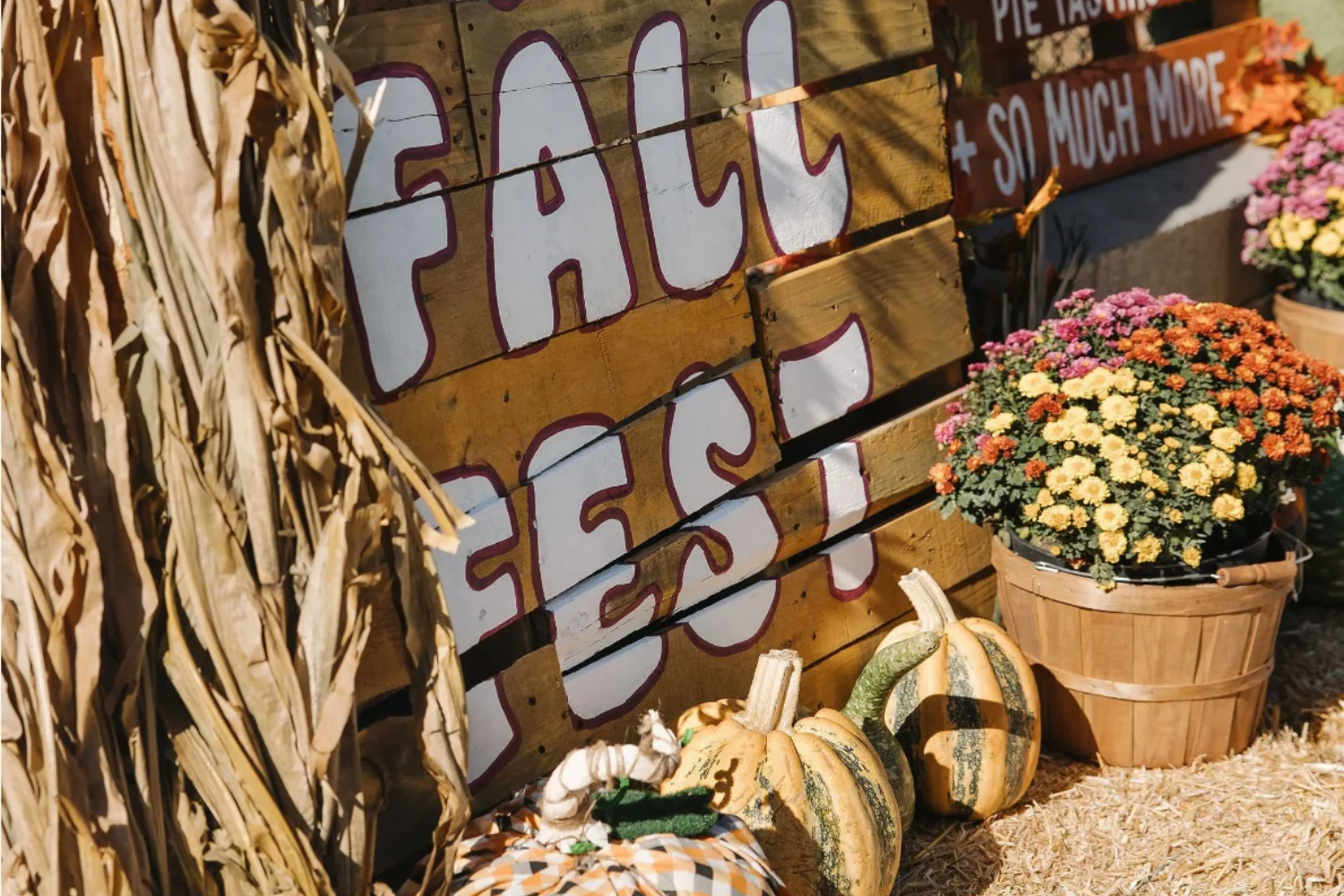 University Heights Fall Festival