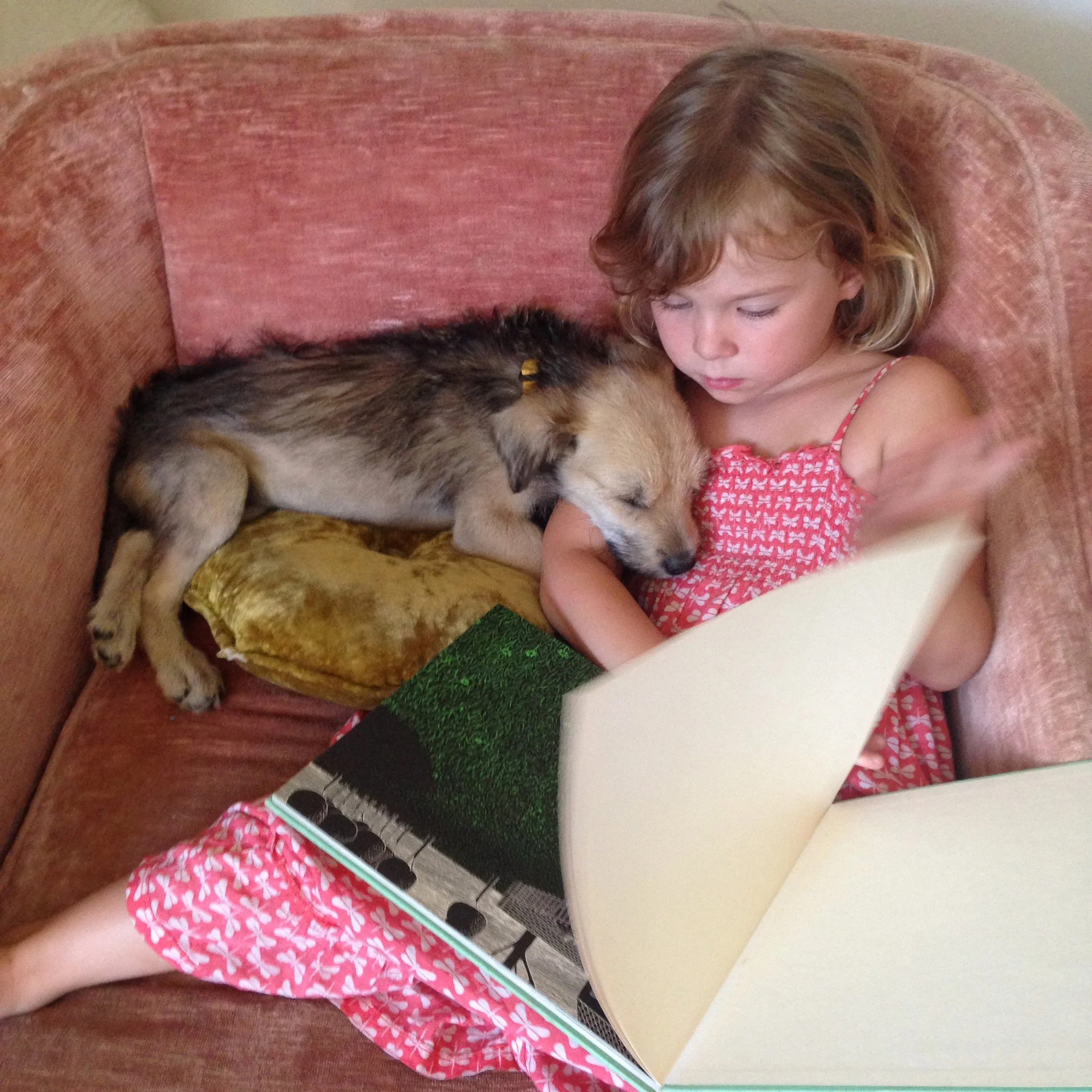 A young girl with curly brown hair and a pink dress with white butterfly patterns, sitting on a red couch with her eyes closed, cuddling a small dog with fur that appears to be a mix of black, tan, and white, resting its head on her shoulder.