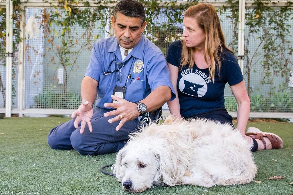 A man in a blue uniform, possibly a veterinarian, and a woman in a navy T-shirt with a dog graphic, sit on the grass with a large white dog lying down between them. They appear to be examining or caring for the dog.