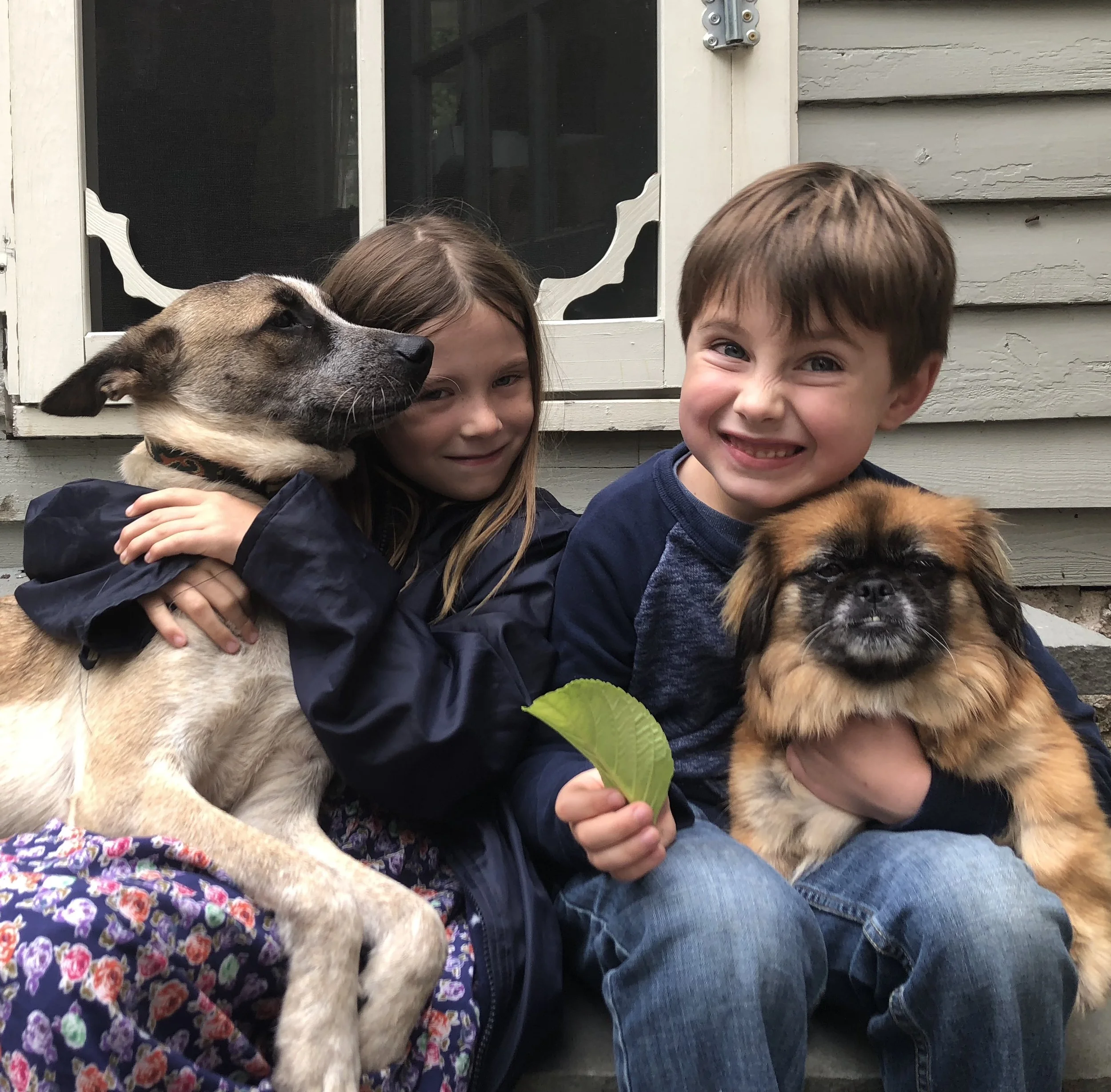 Two children and two dogs outside near a house. The girl is holding a puppy and the boy is smiling with an adult's arm visible. The puppies have brindle and black fur.