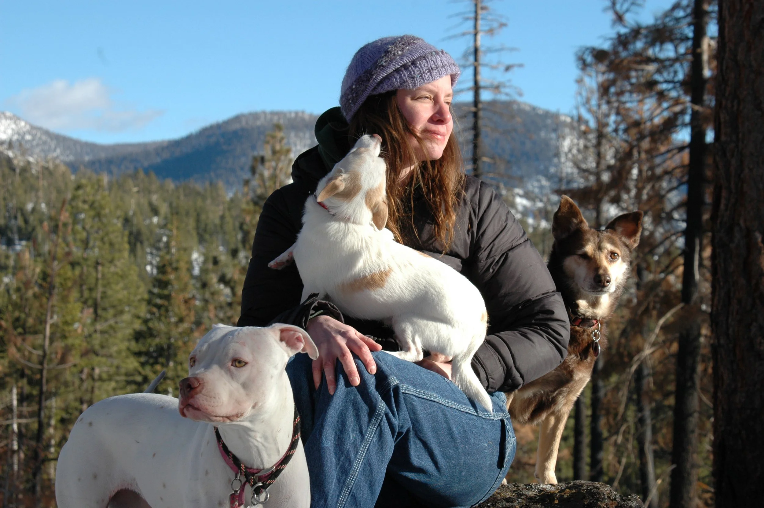 A woman sitting outdoors surrounded by dogs with mountains and trees in the background.