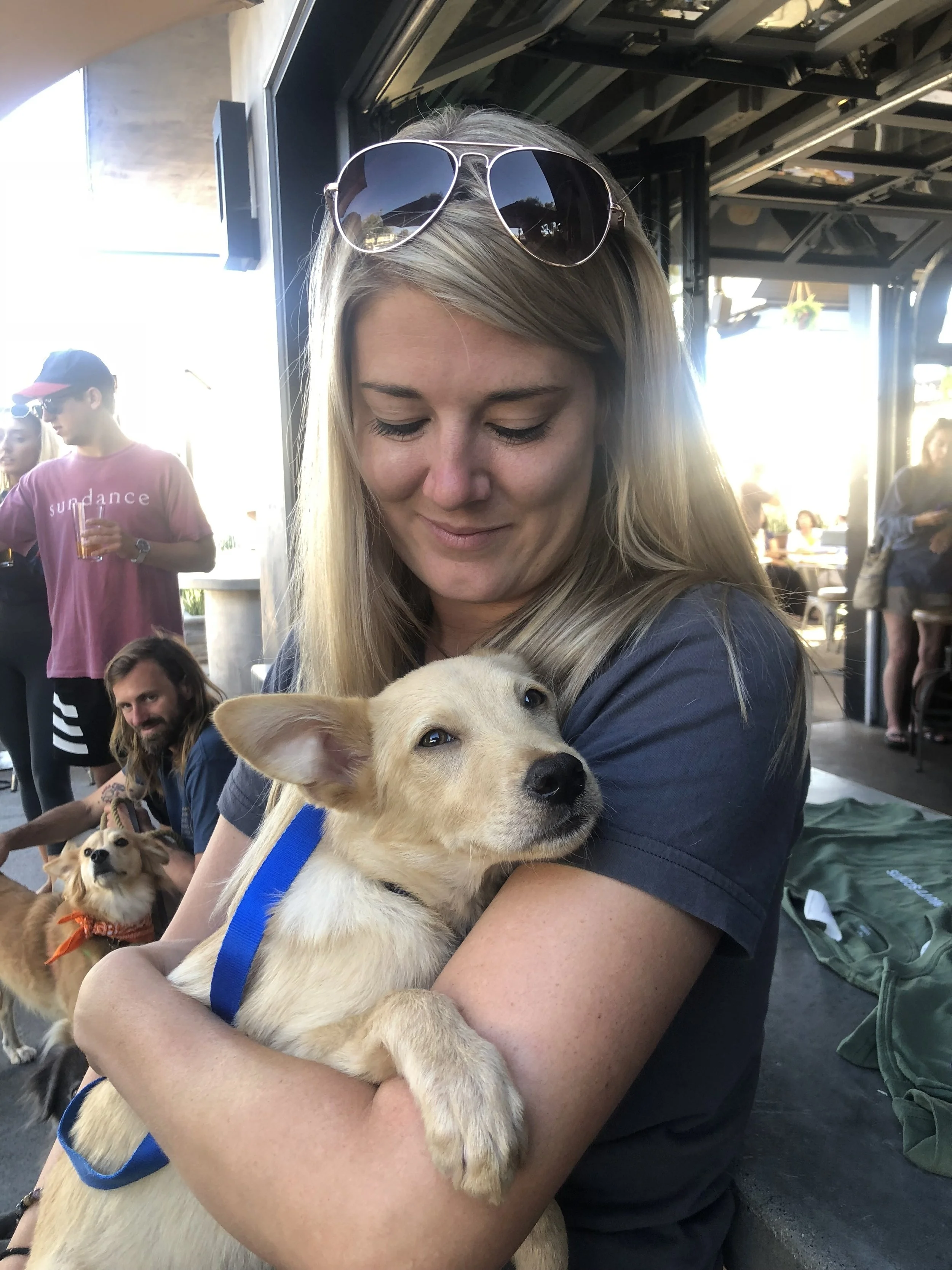 A woman with sunglasses on her head holding a light-colored puppy with a blue collar, while other dogs and people are visible in the background at an outdoor event.