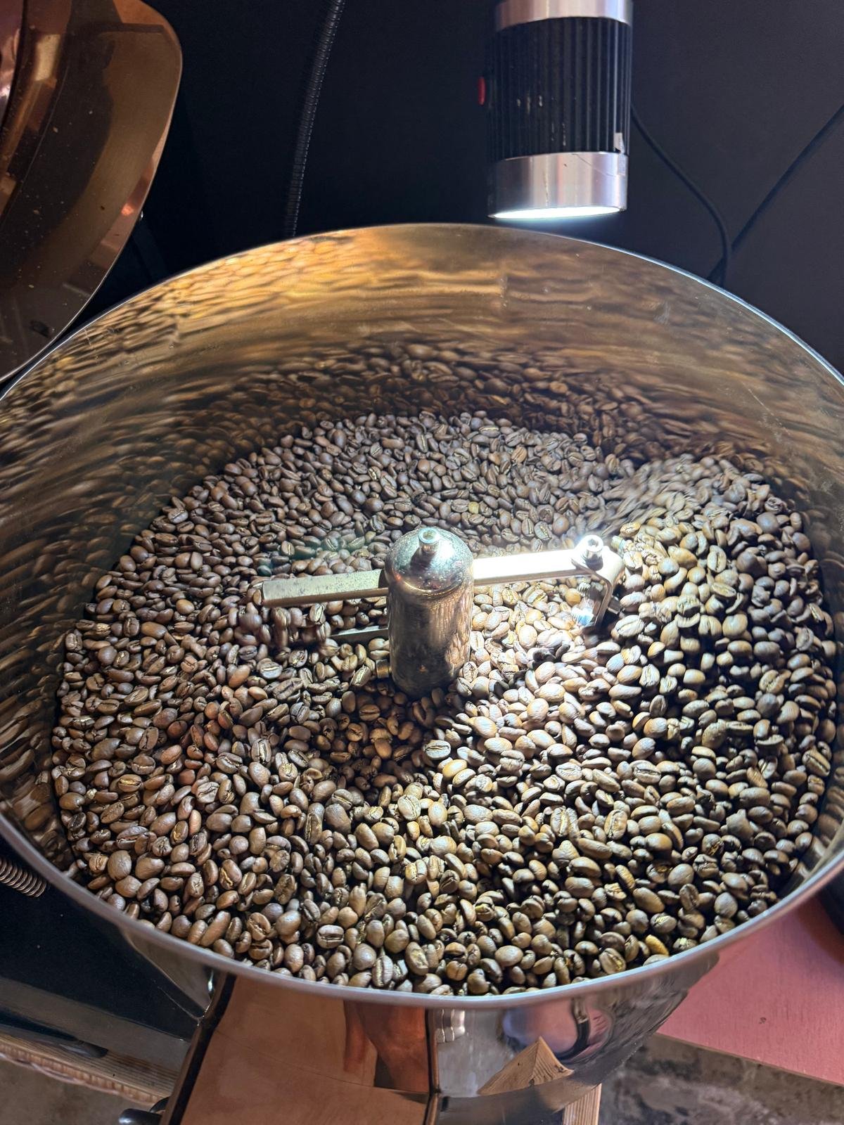 A large metal roasting drum filled with green coffee beans being roasted, with a heat lamp above.