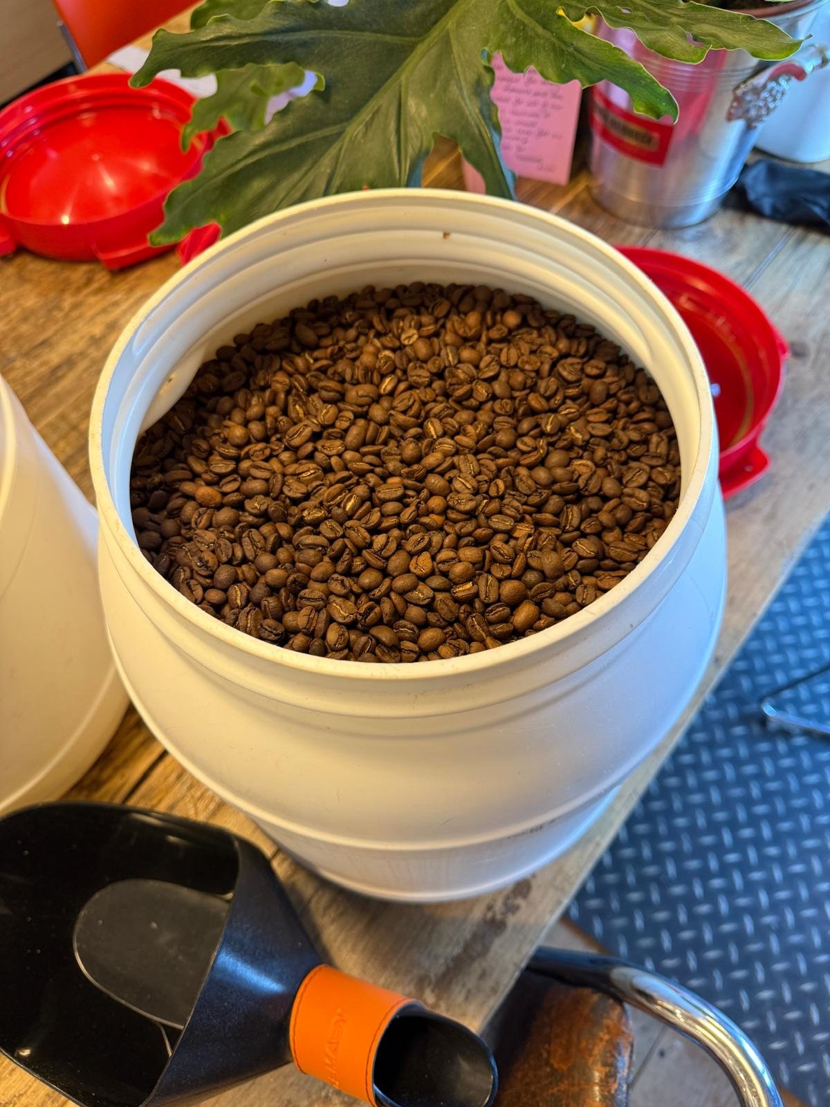 Open container of roasted coffee beans on a wooden table with a coffee scoop nearby.