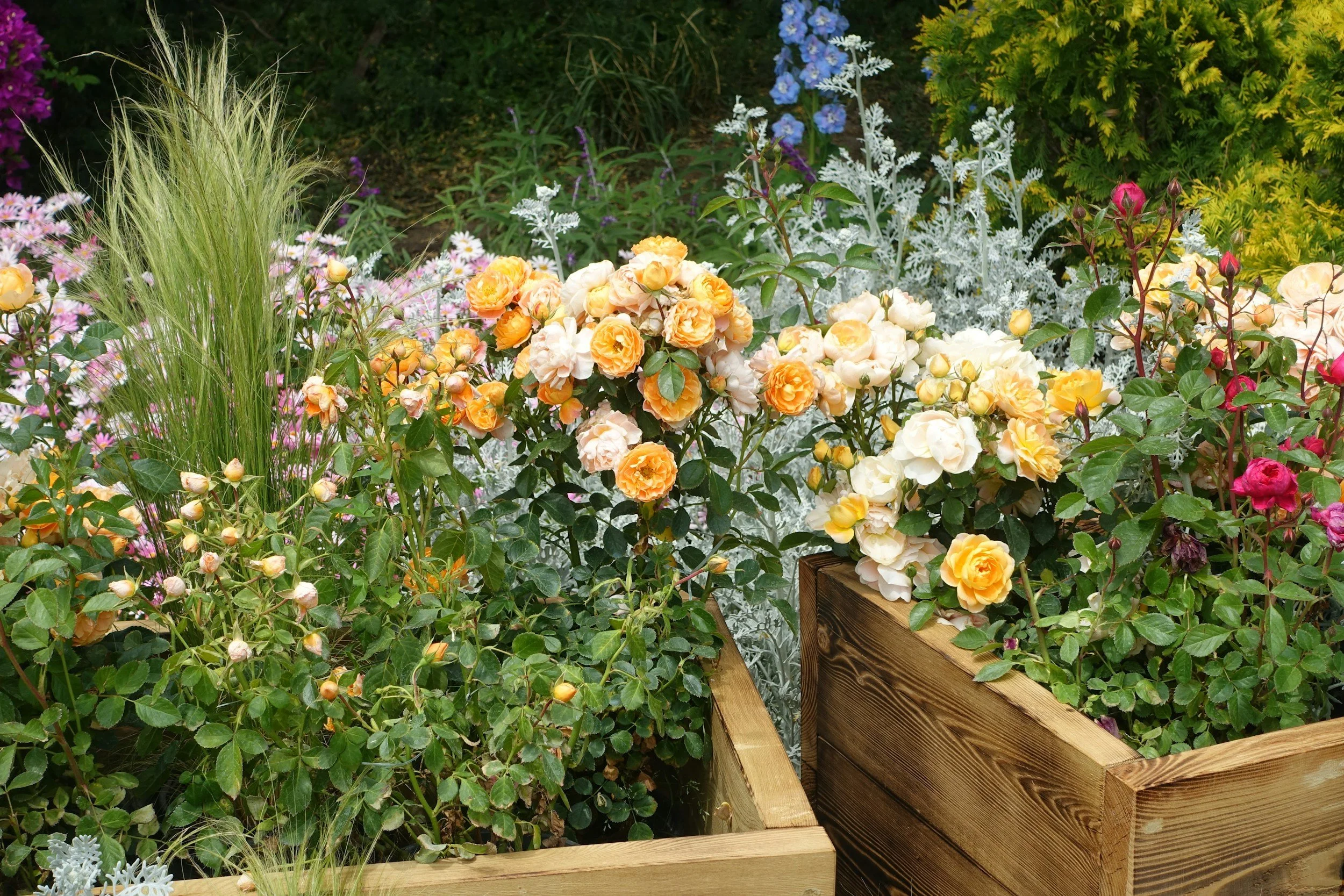 flowers and grasses inside wooden planter box