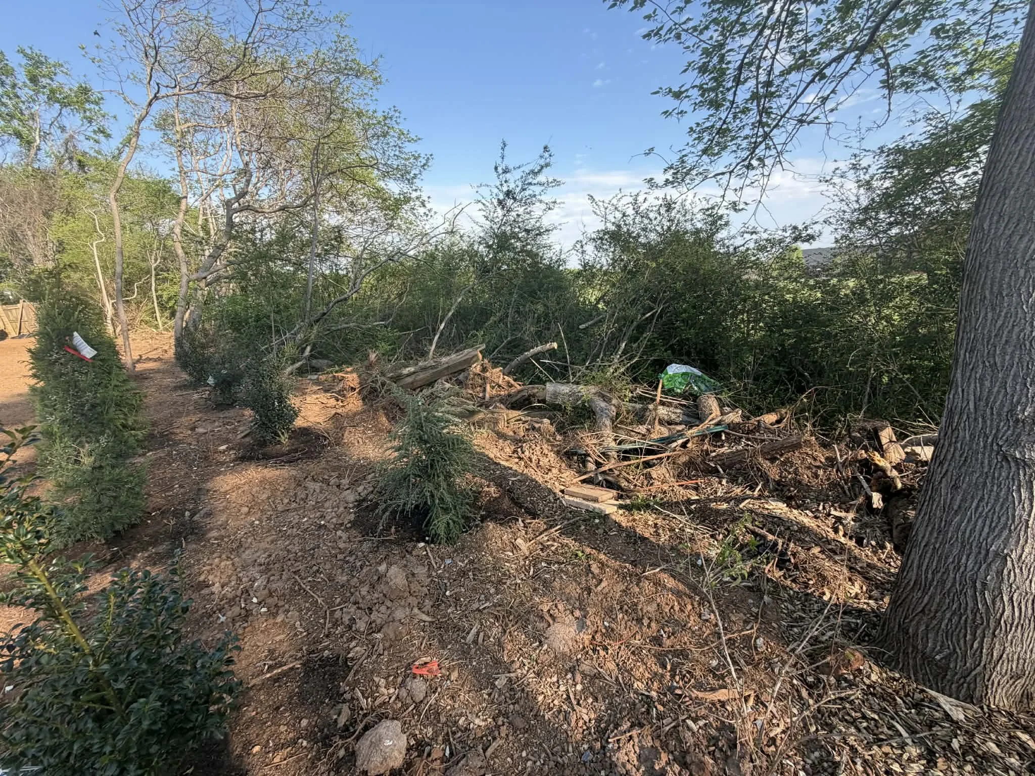 New Tree Line Bed & Debris Clear-out Before