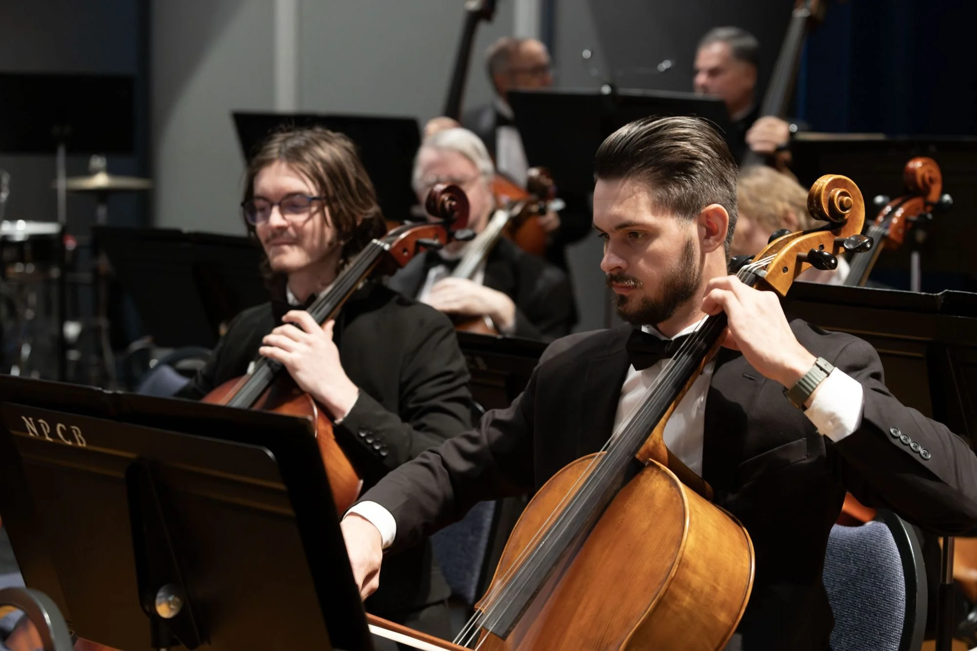 Orchestra musicians performing, playing string instruments, dressed in formal black attire, in a concert hall.