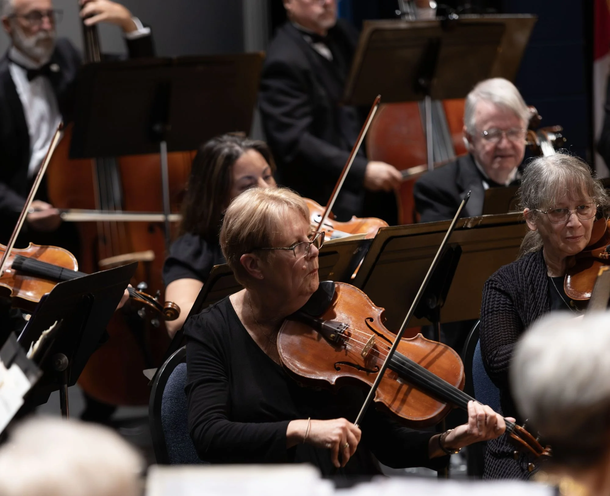 Orchestra performers playing violins during a concert.