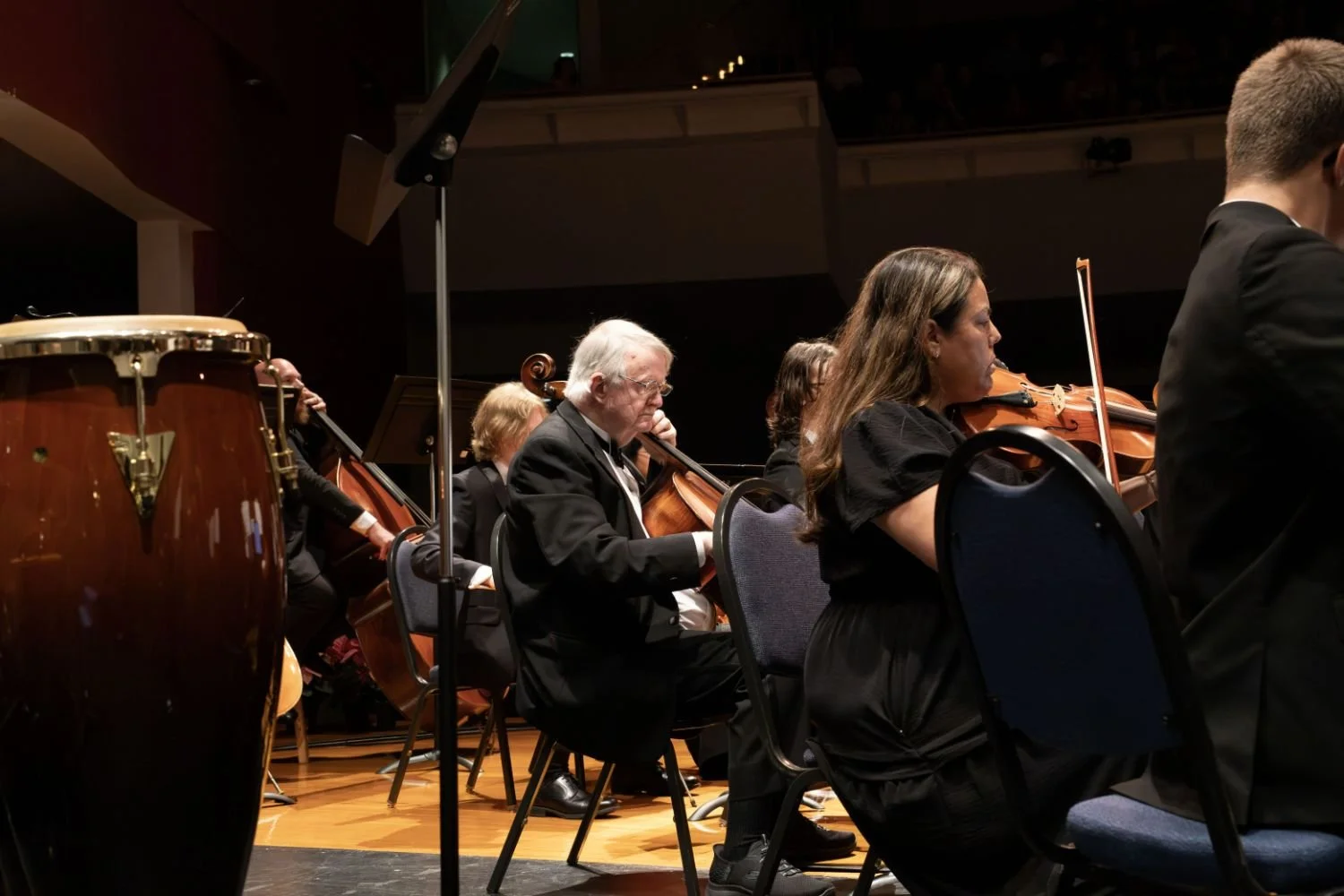 Orchestra musicians seated on stage, playing string instruments, in a concert hall with a dark background.