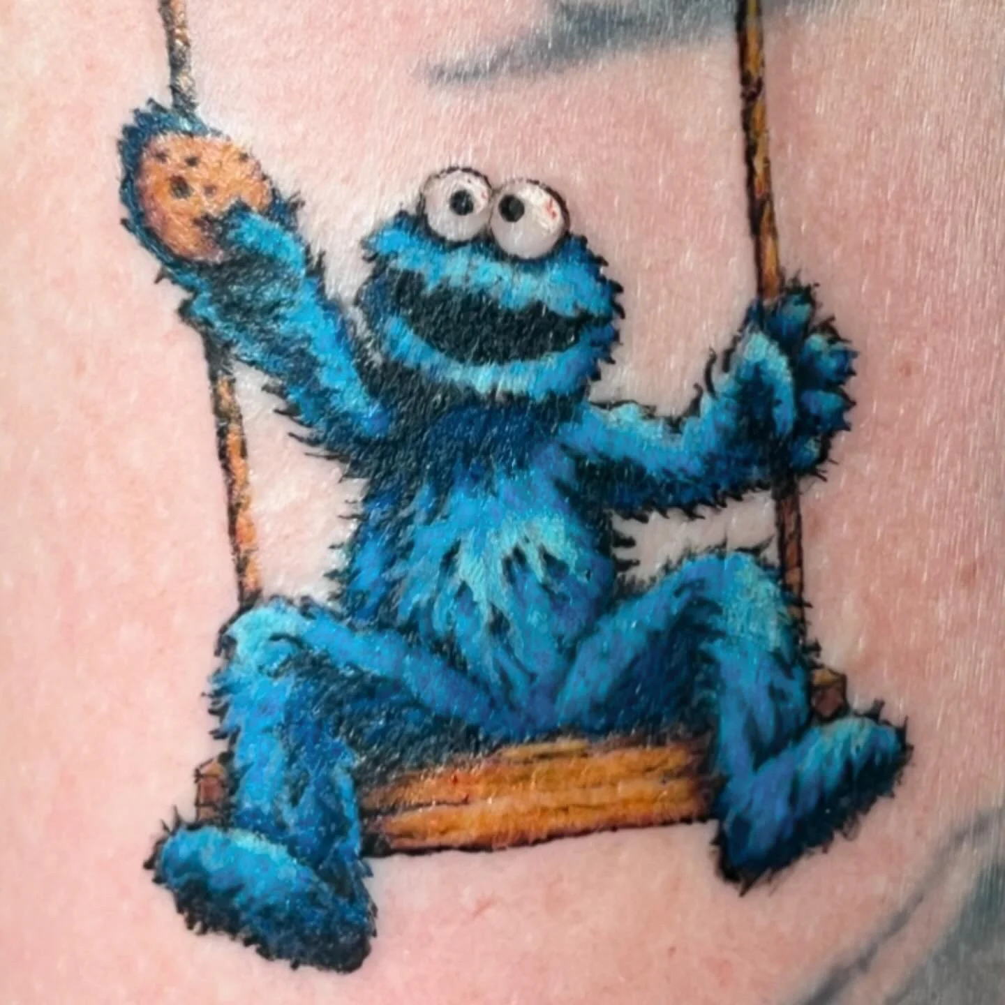CookieMonster1.JPG