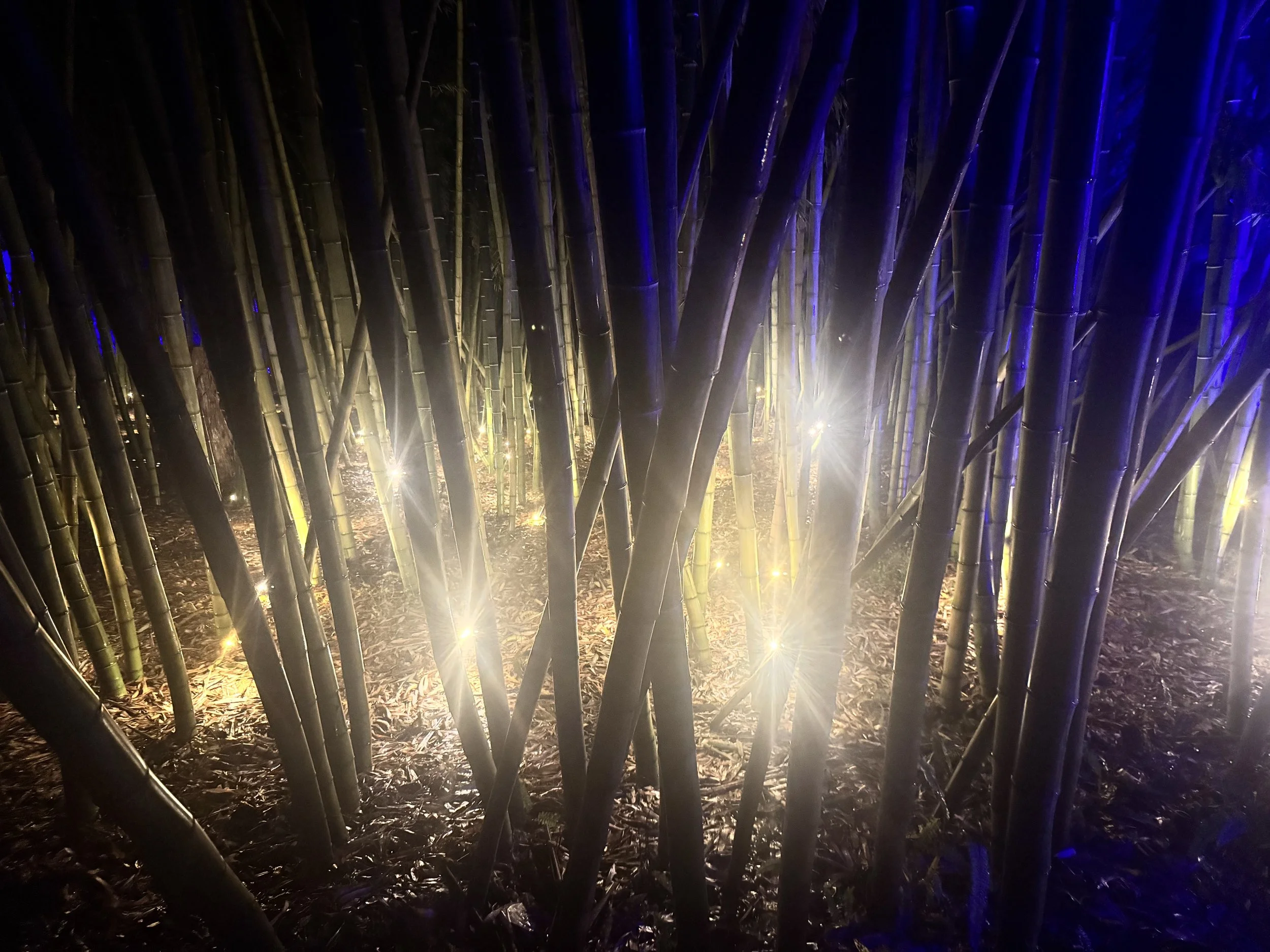 Soul In Power Manifesto