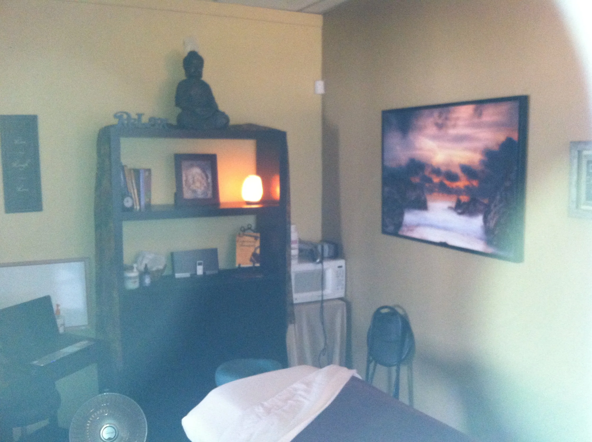 Active Life Chiropractic 2015