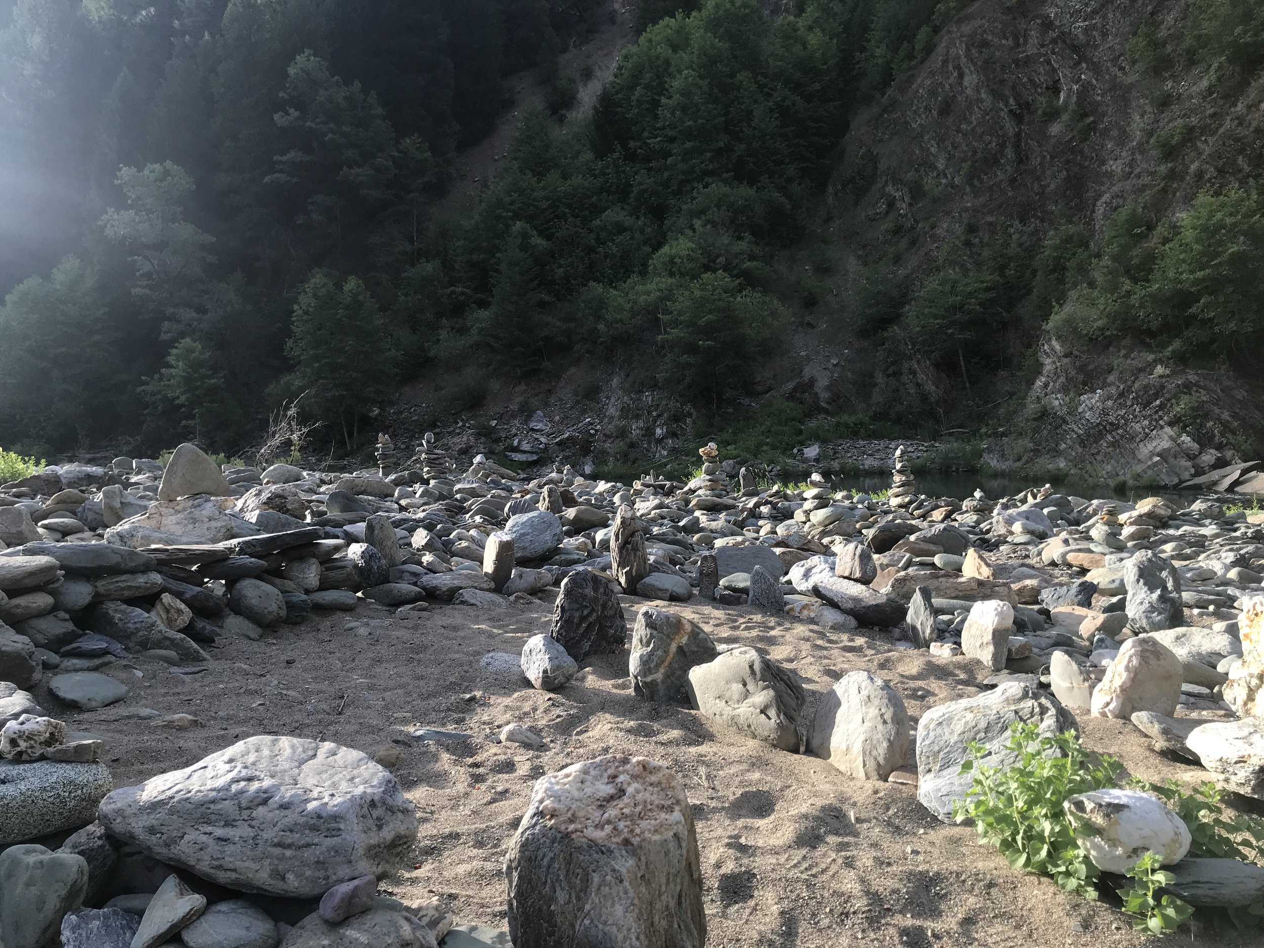 The Collective Field