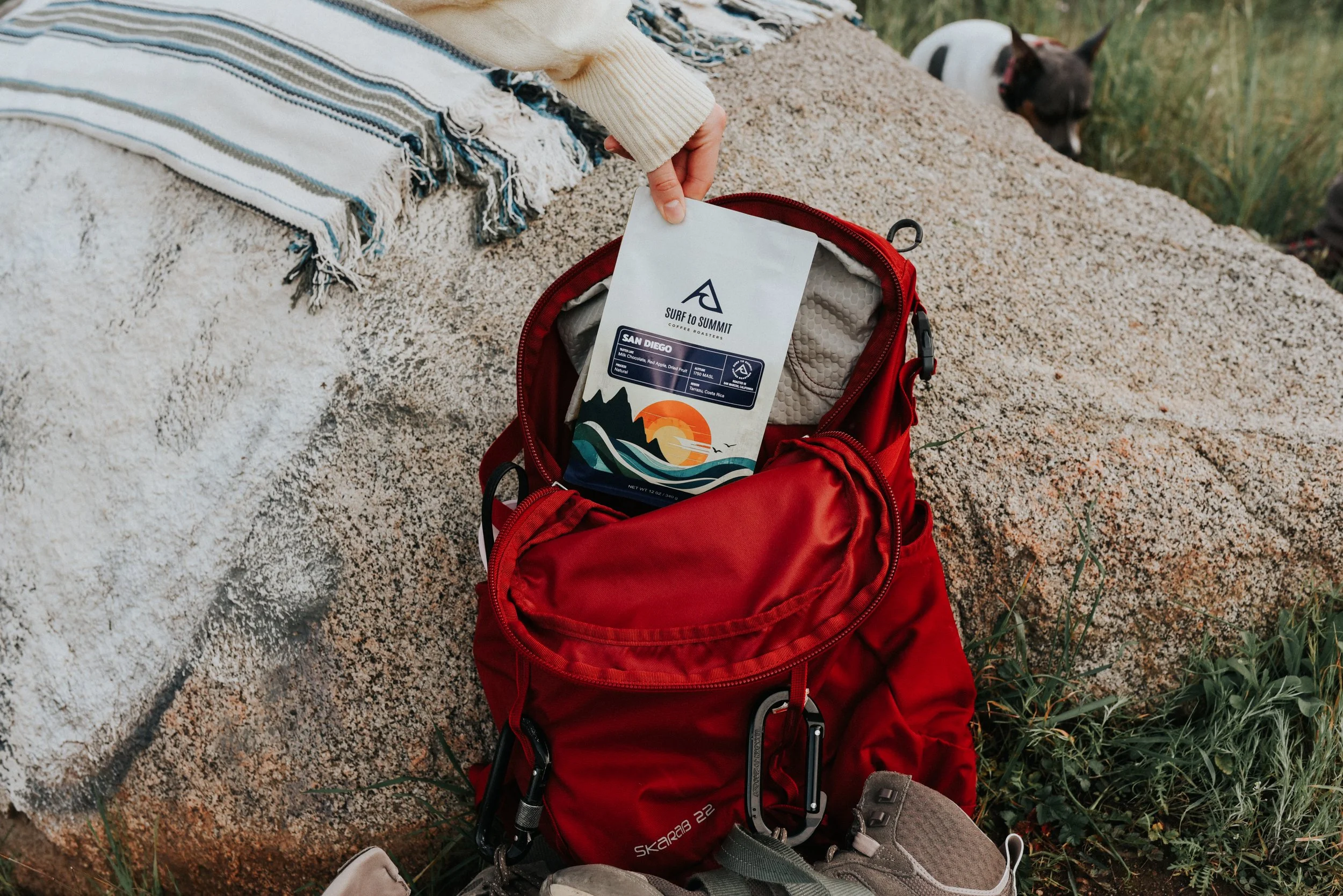 Surf to Summit Coffee