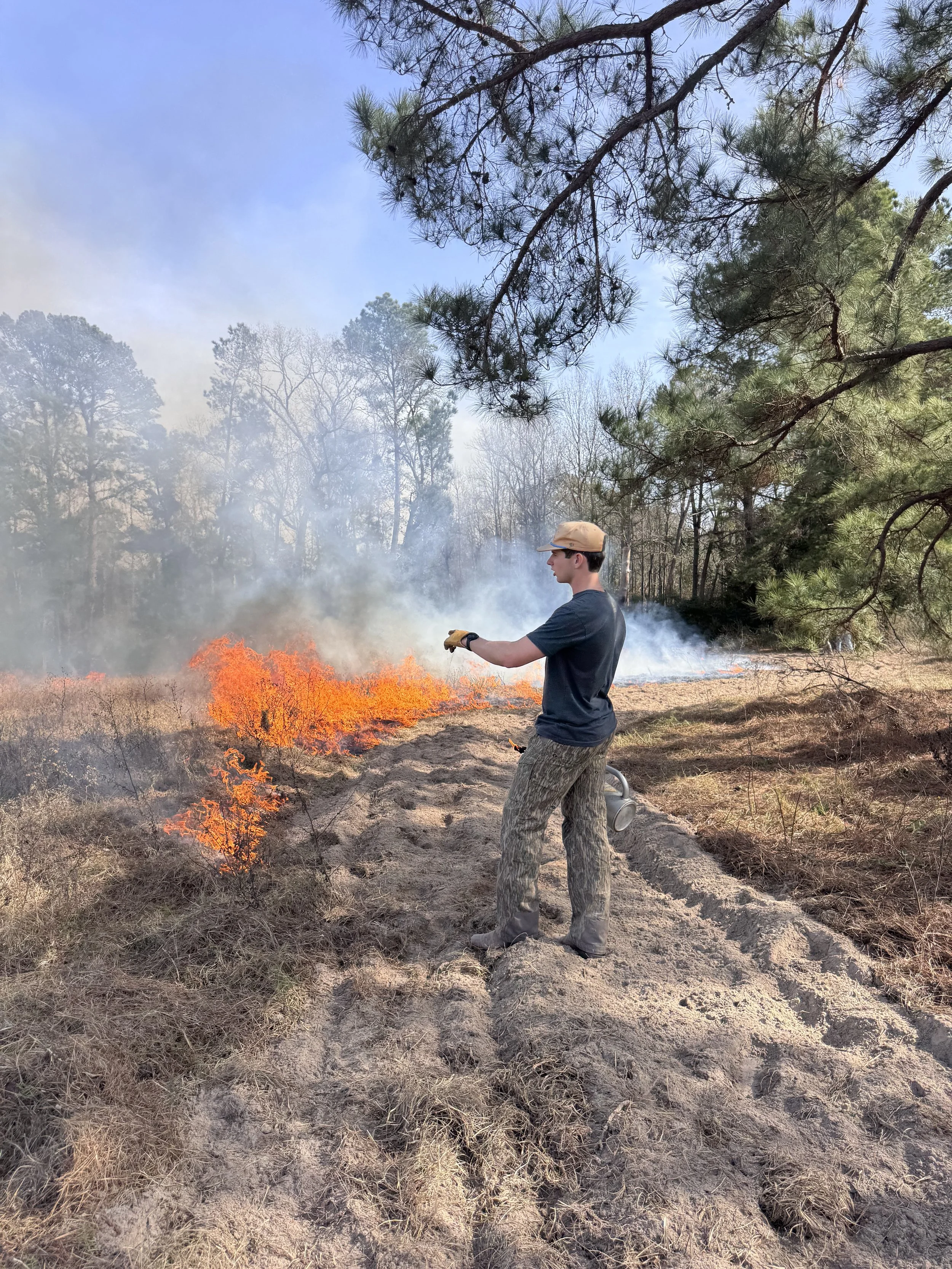 Person in camouflage pants and dark T-shirt using a tool to control a small brush fire in a wooded area on a sunny day.