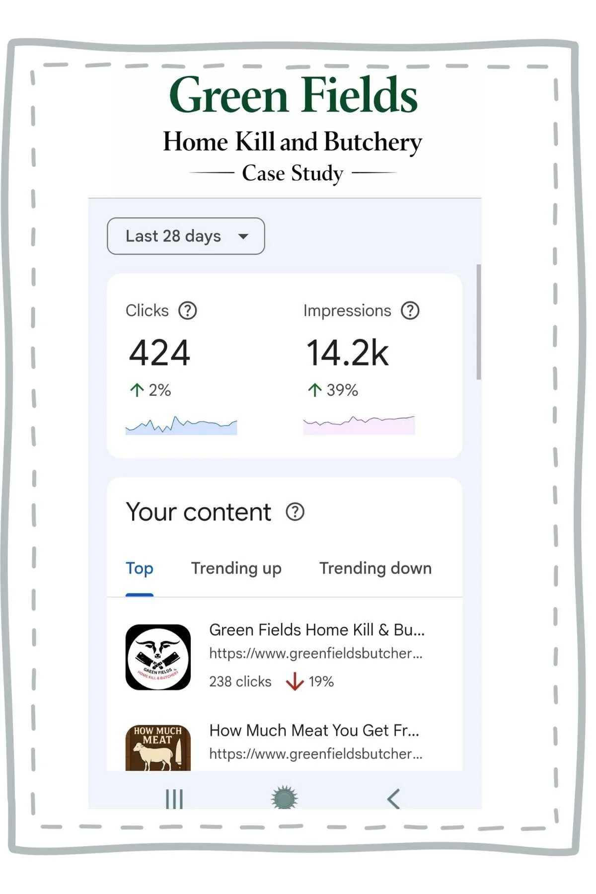 Google Search Console report for Green Fields Home Kill & Butchery showing 424 Organic clicks and 14,200 impressions for Pages on the Website