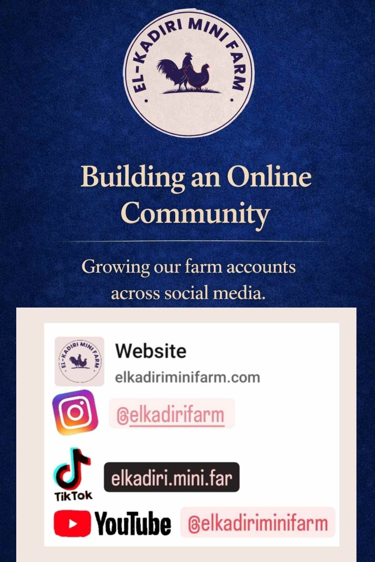 Elkadiri Mini Farm Built an Online Community
