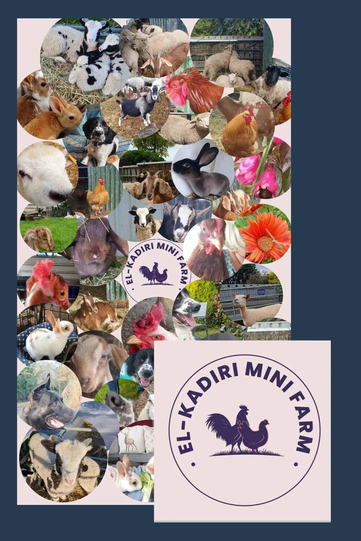 Elkadiri Mini Farm and photo collage