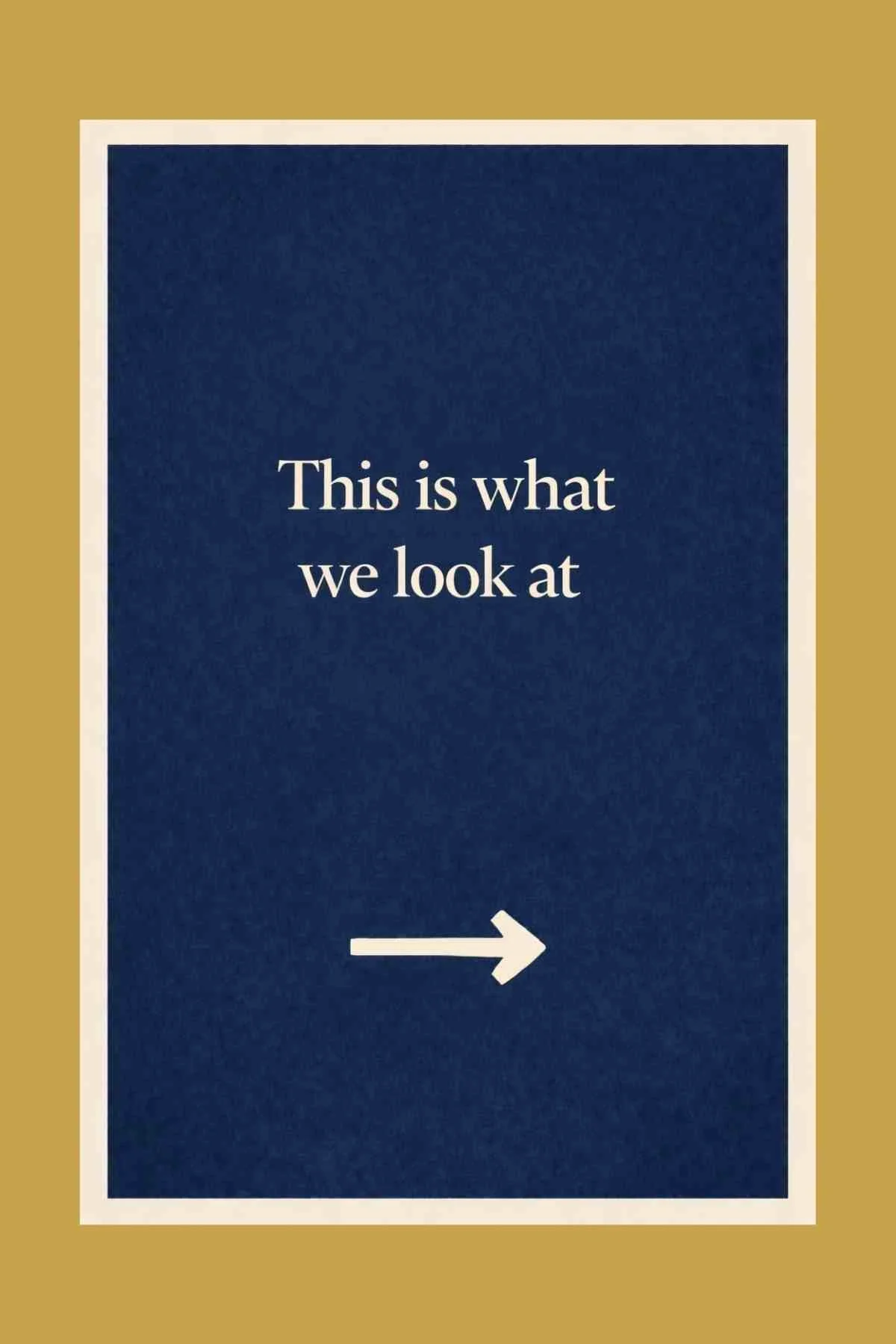 what-we-look-at-website-visibility-check