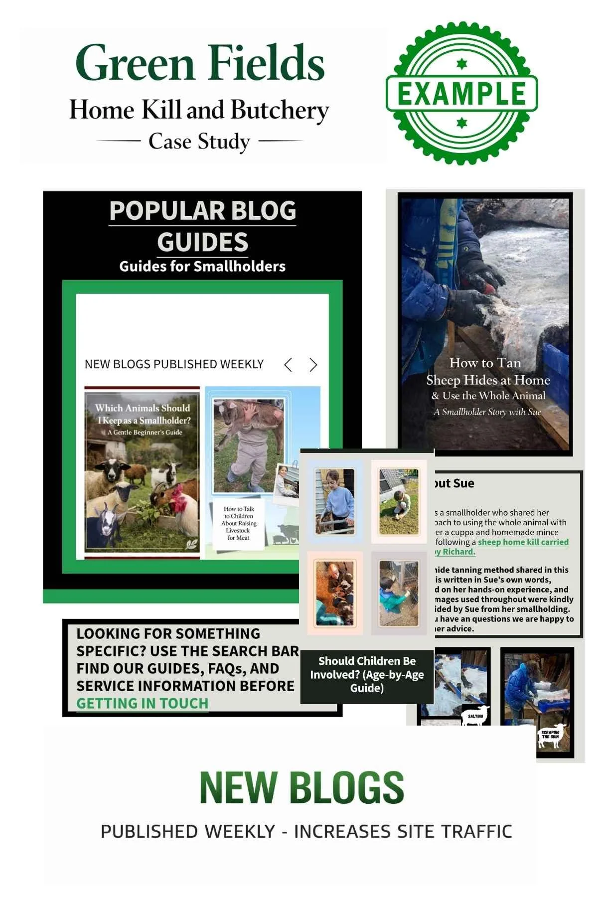Case Study of Green Fields Home Kill & Butchery website featuring blog guides published weekly,