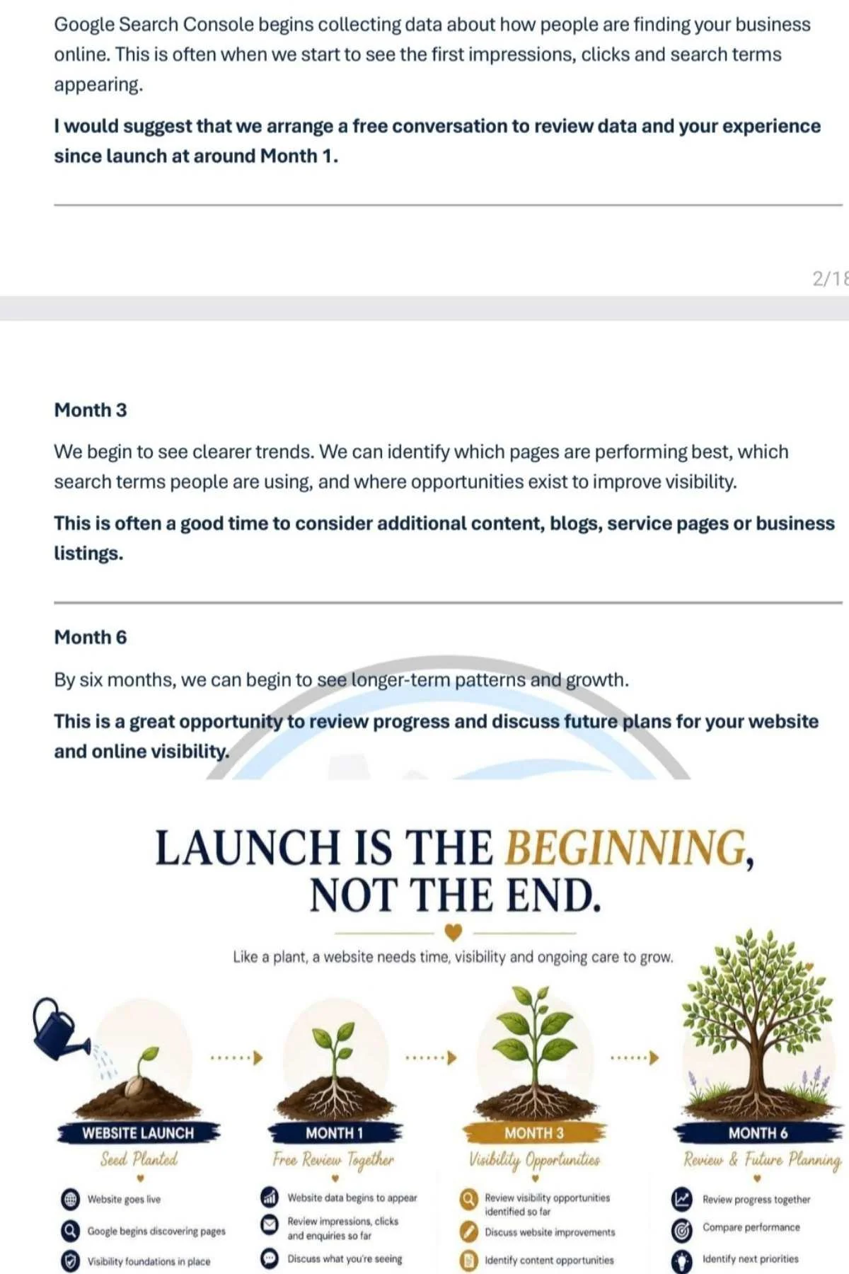 SWDS Client What Happens Next after their Website has launched document image
