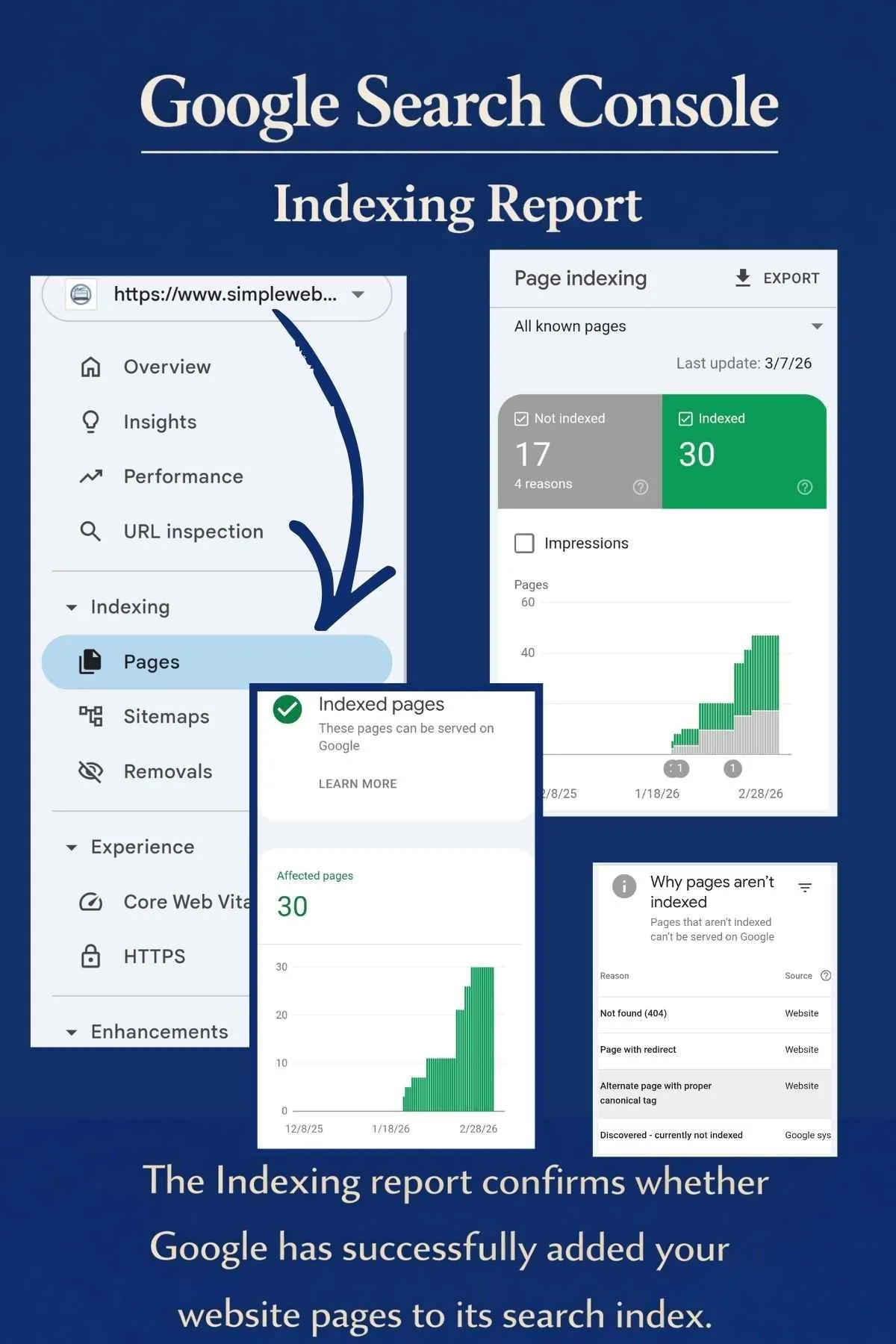 The Indexing report confirms whether Google has successfully added your website pages to its search index.
