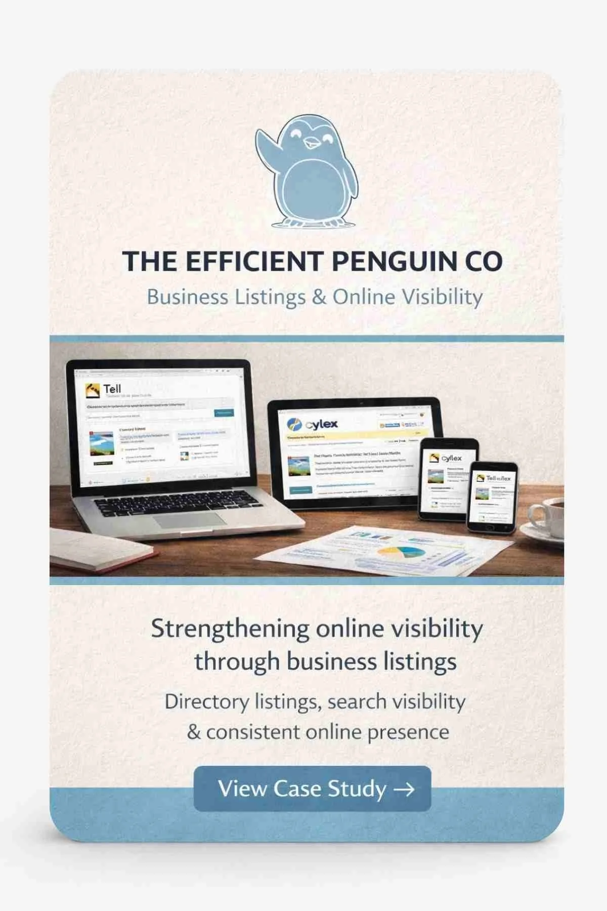 Business listings case study showing how directory listings increased visibility for The Efficient Penguin Co