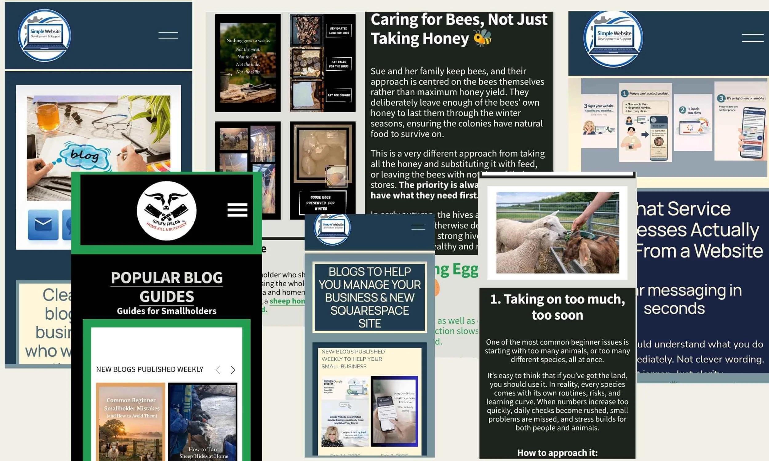 Examples of Website Pages built by Simple Website Development and Support, UK Squarespace Web Designer