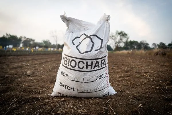 A white bag labeled 'BioChab' with handwritten details, standing on bare soil in an open field with trees and cloudy sky in the background.