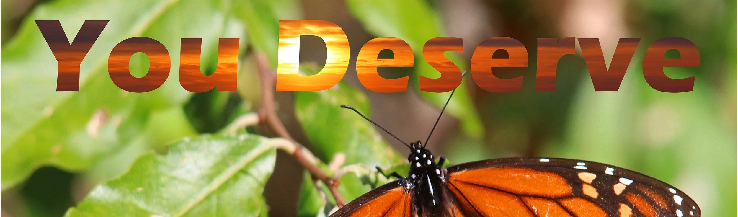 Kindness butterfly 1.jpg