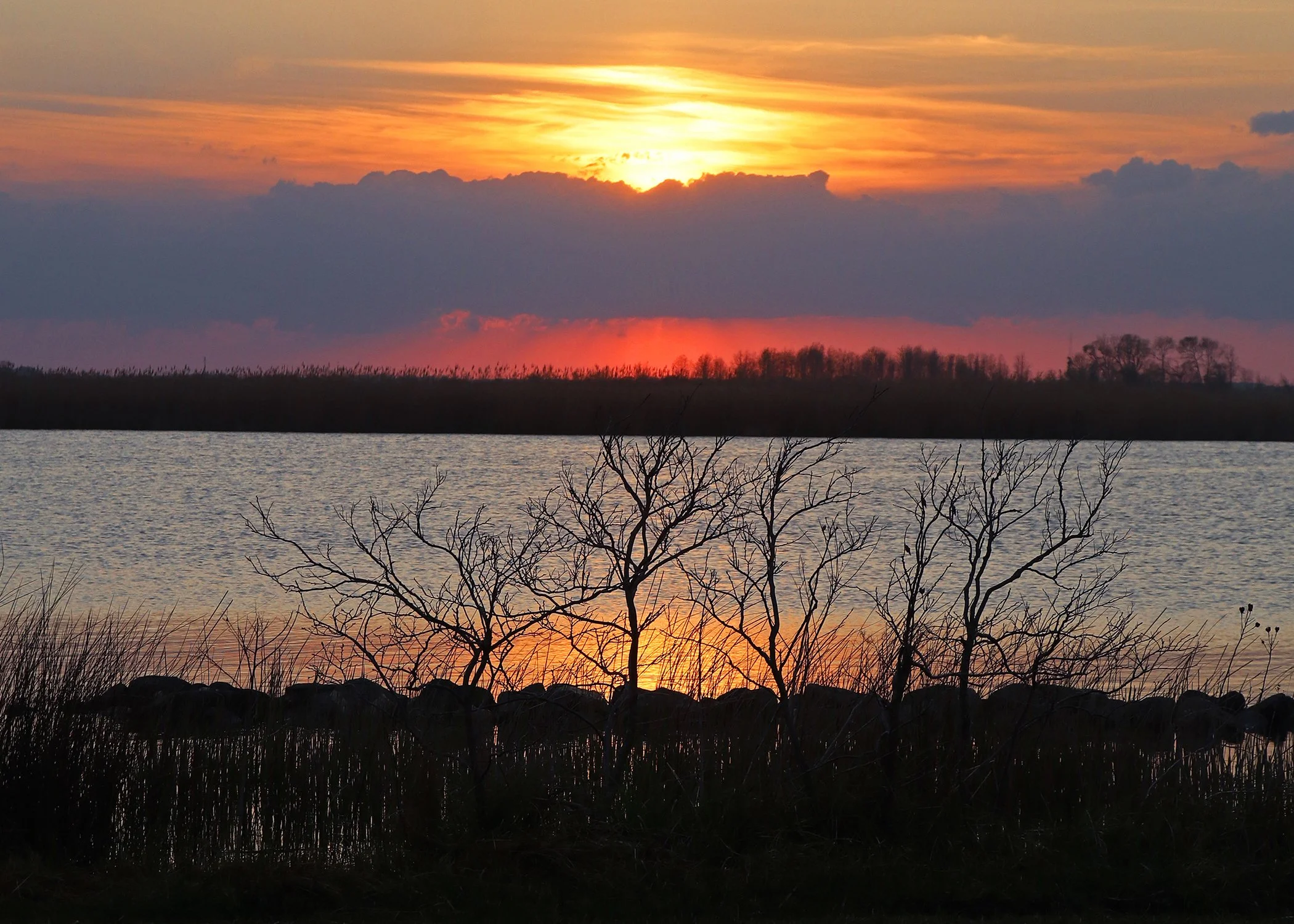 postcard 2.jpg
