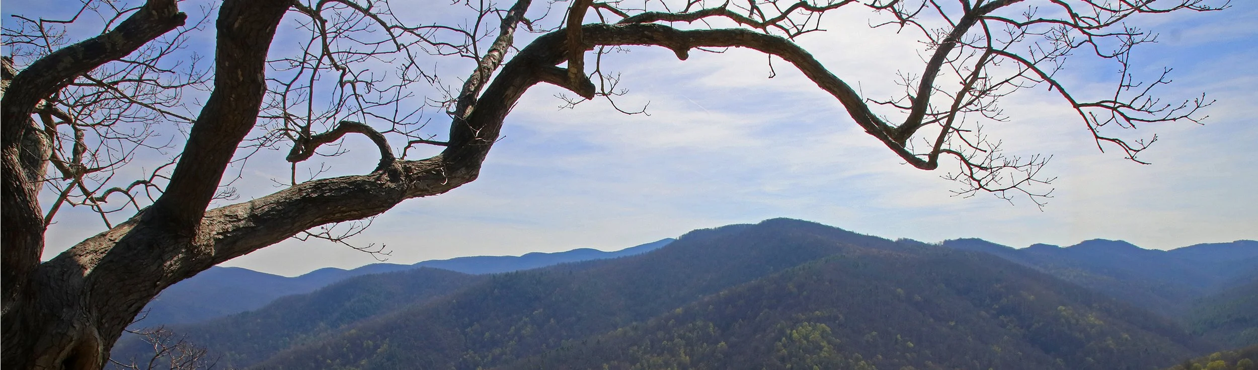 blue ridge 1.jpg