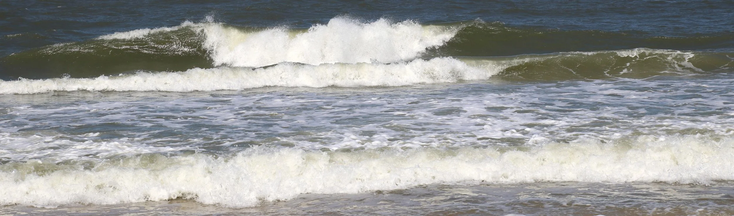 beach scenes 5.5.jpg