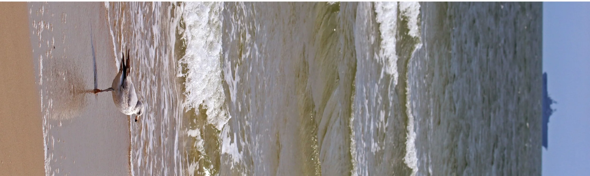 beach scenes 2.5.jpg